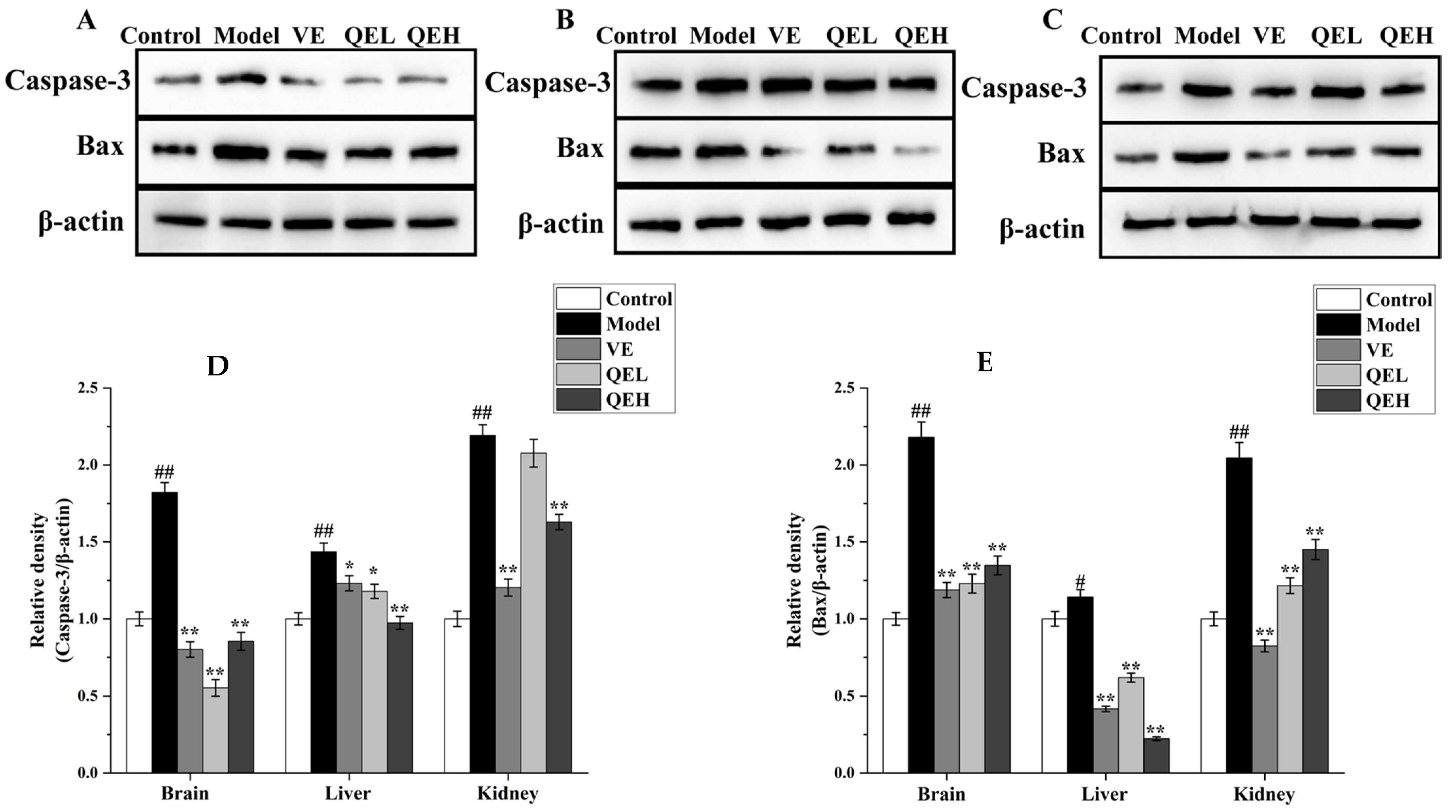 Molecules 29 01384 g005