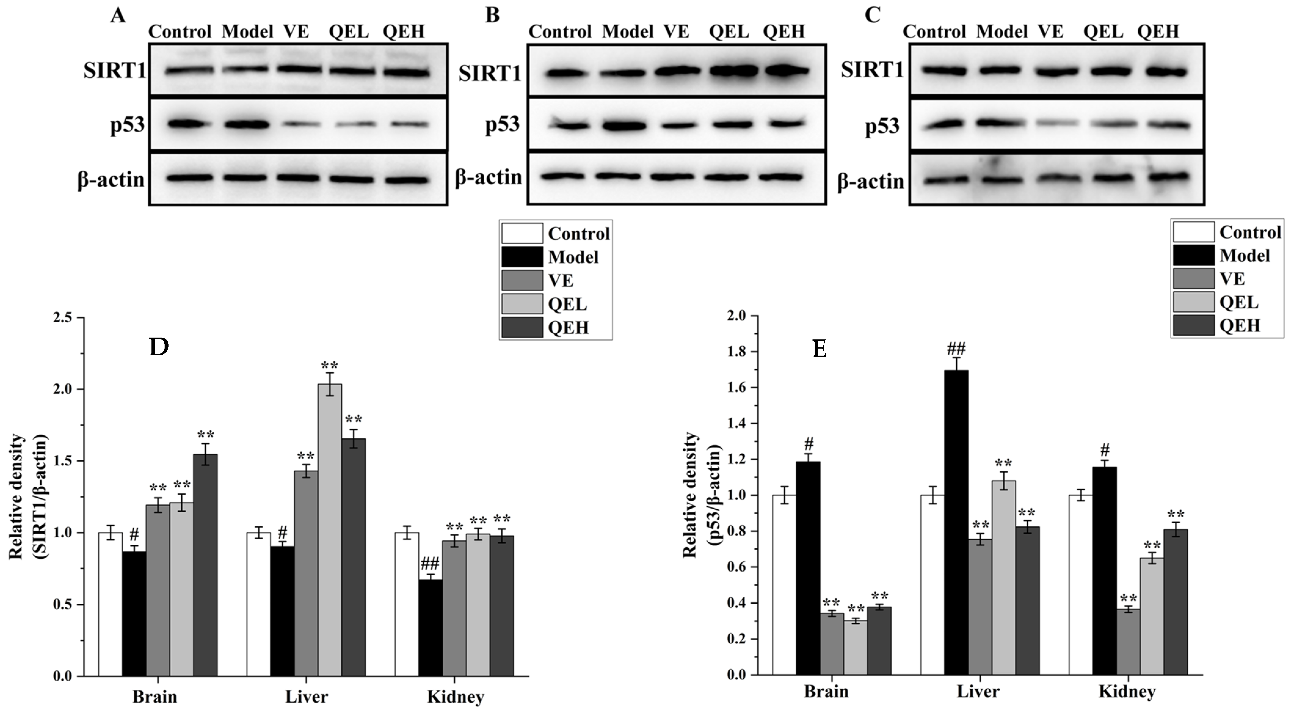 Molecules 29 01384 g007