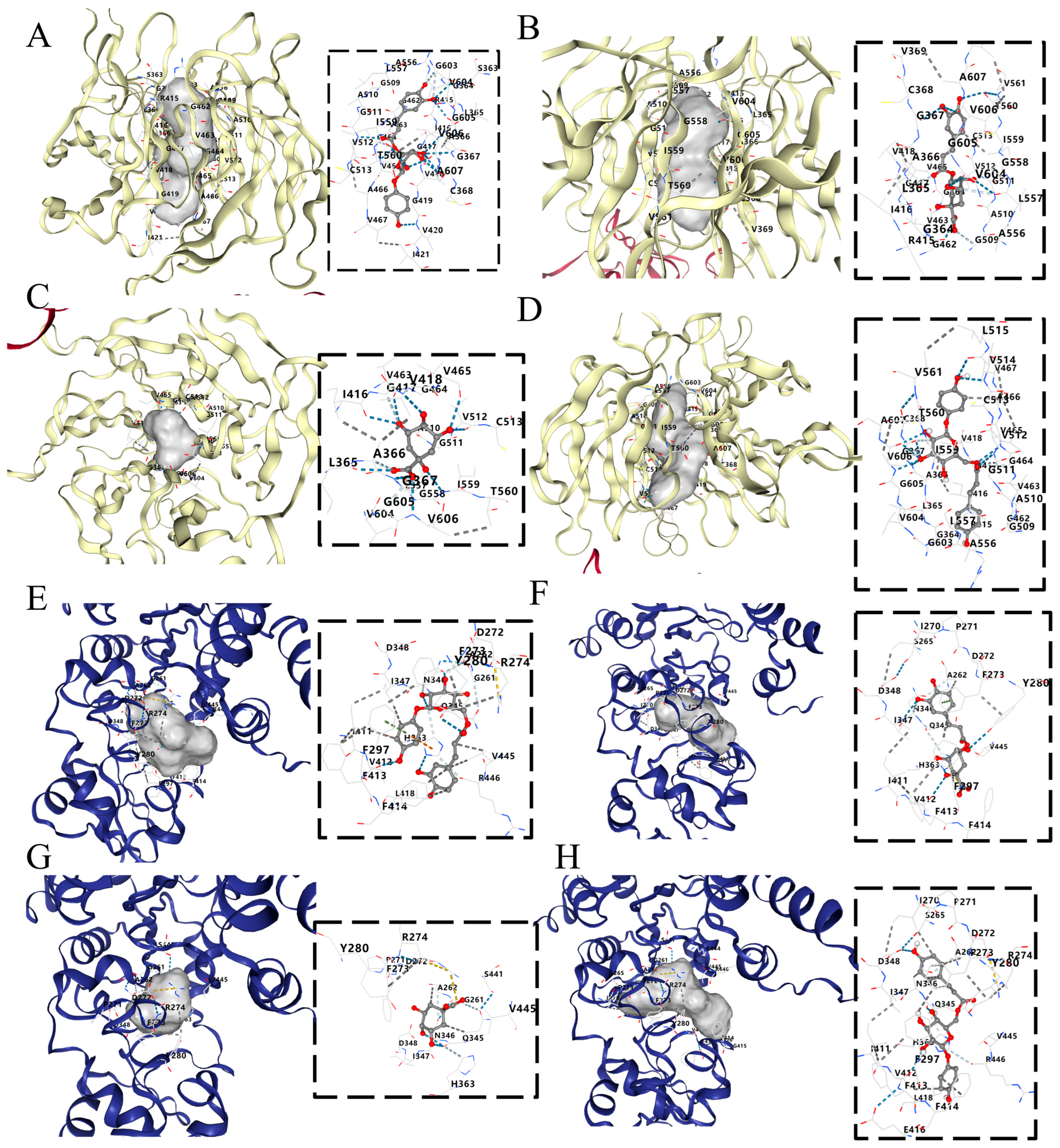 Molecules 29 01384 g008