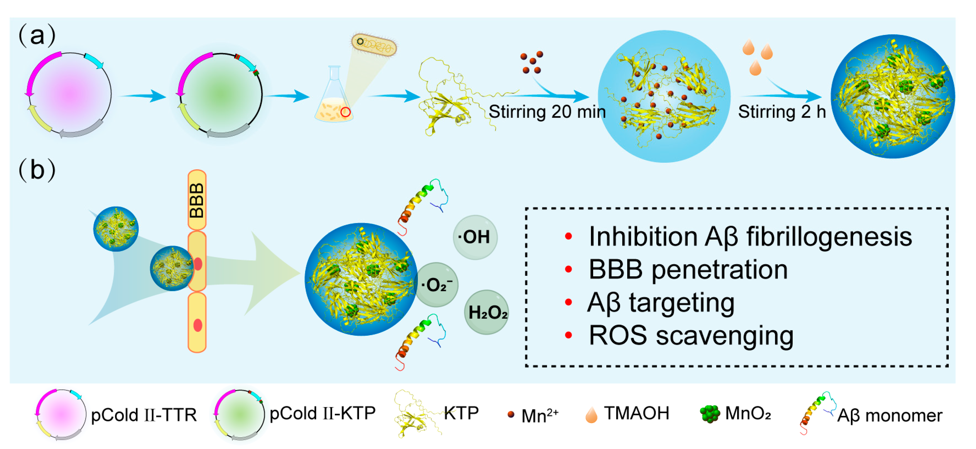 Molecules 29 01405 g001