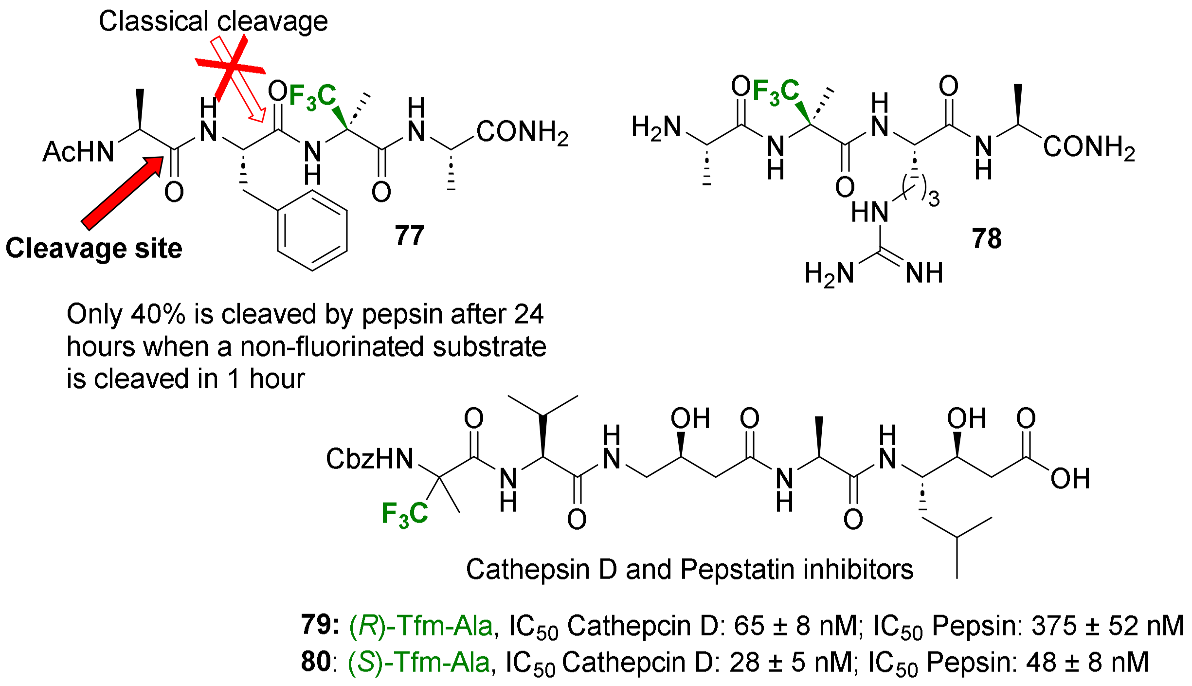 Molecules 29 01408 g009 Molecules 29 01408 g009