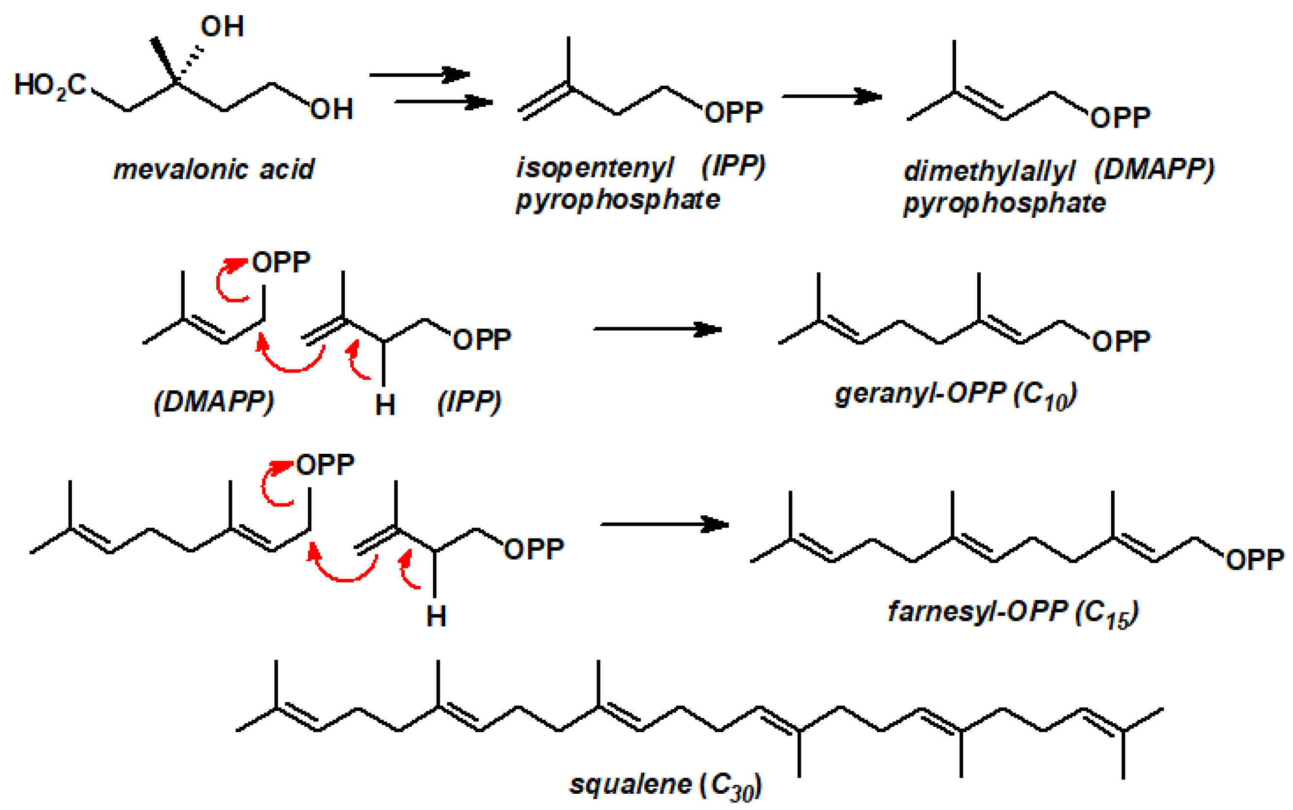 Molecules 29 01409 sch001