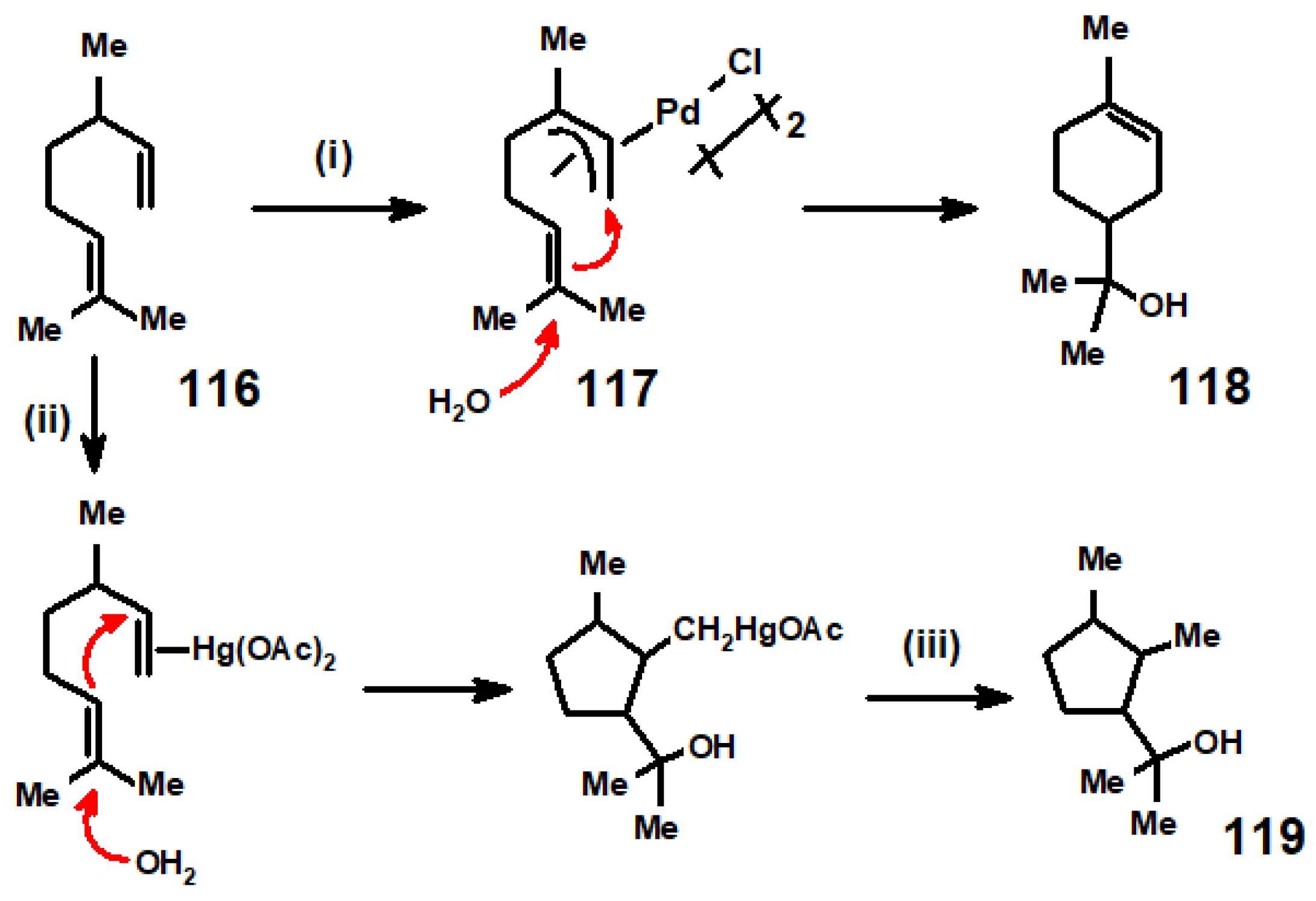 Molecules 29 01409 sch047