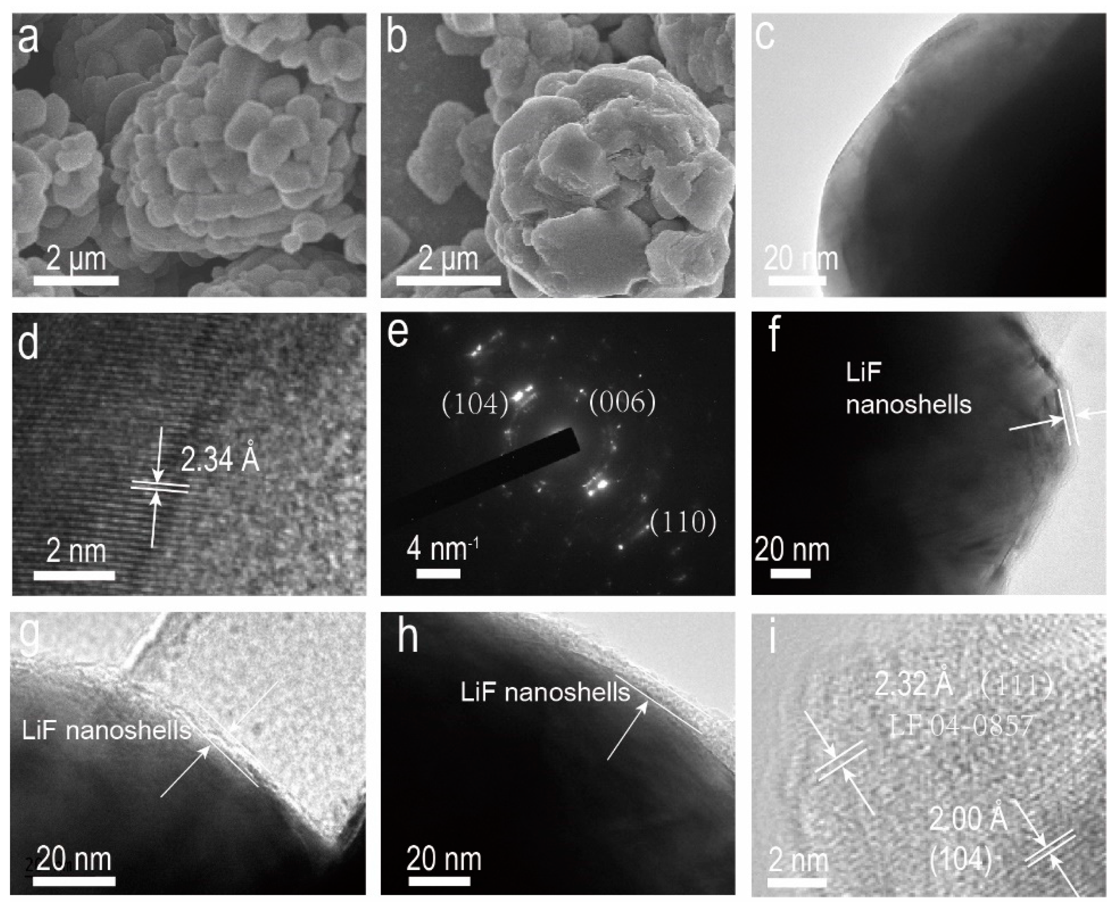 Molecules 29 01414 g001