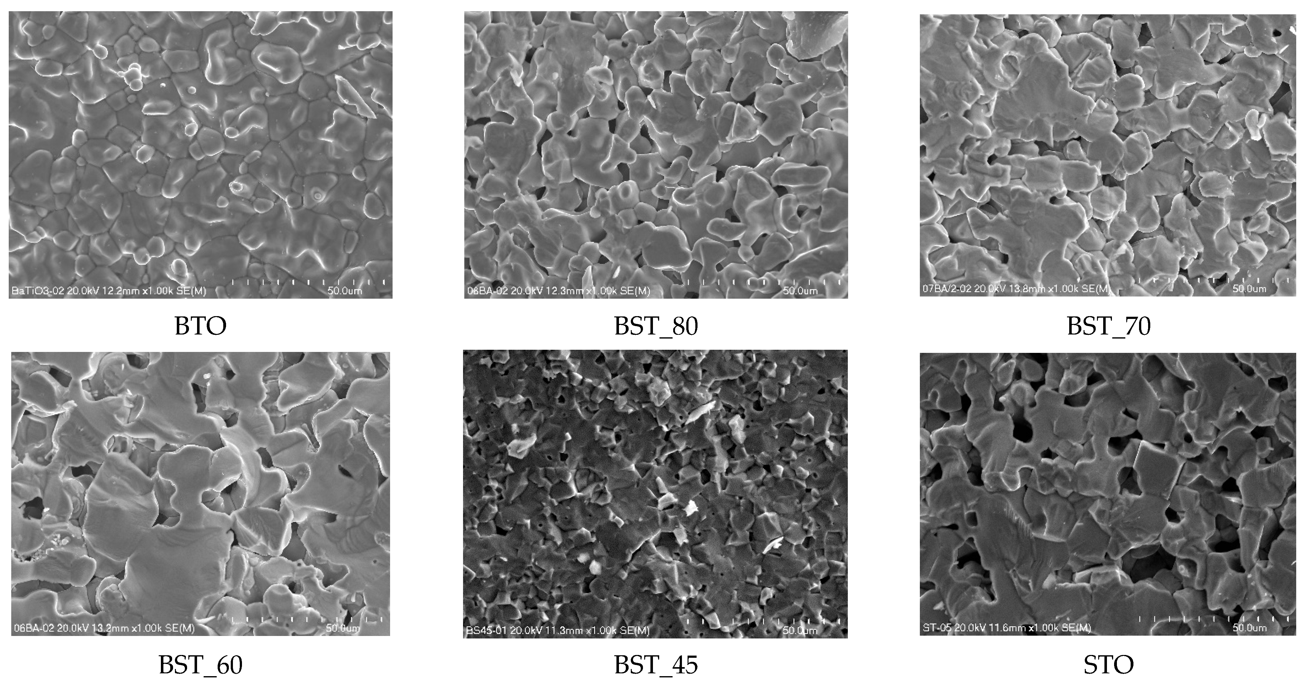 Molecules 29 01416 g001