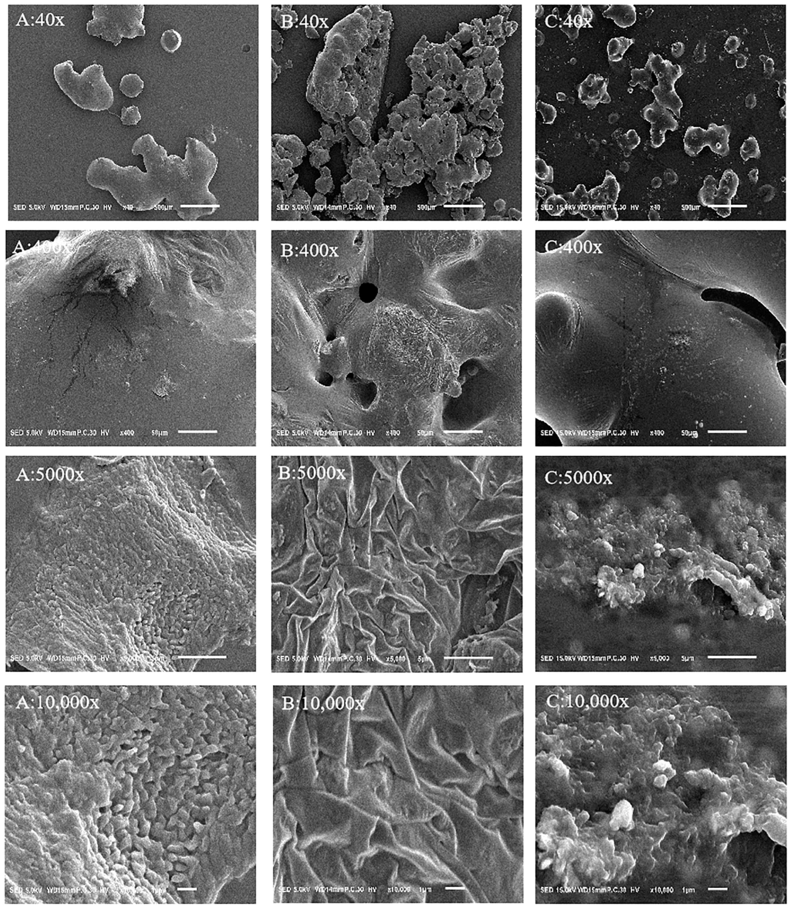 Molecules 29 01418 g007