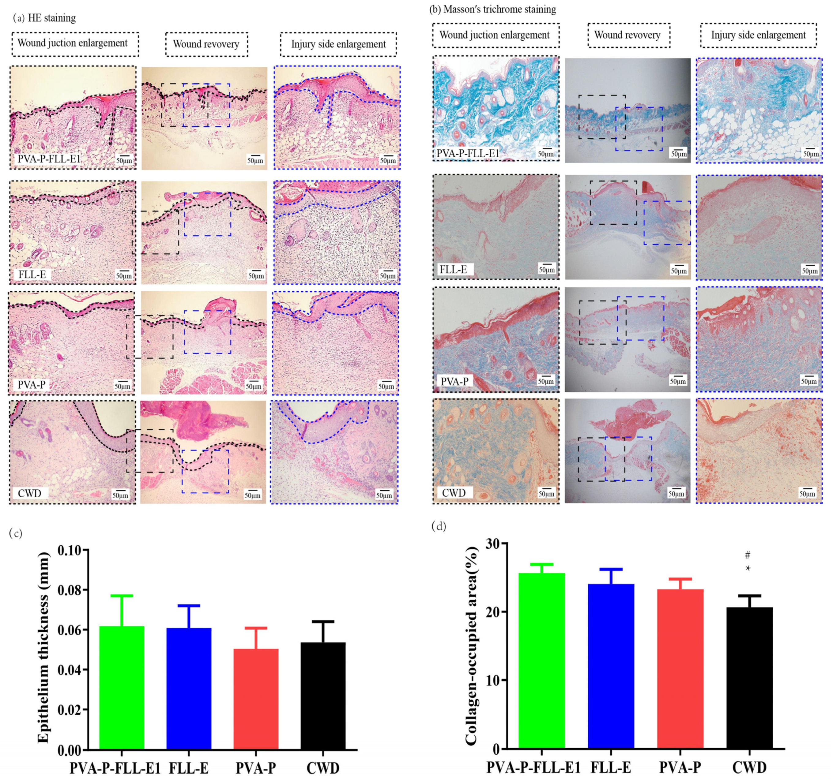 Molecules 29 01423 g004