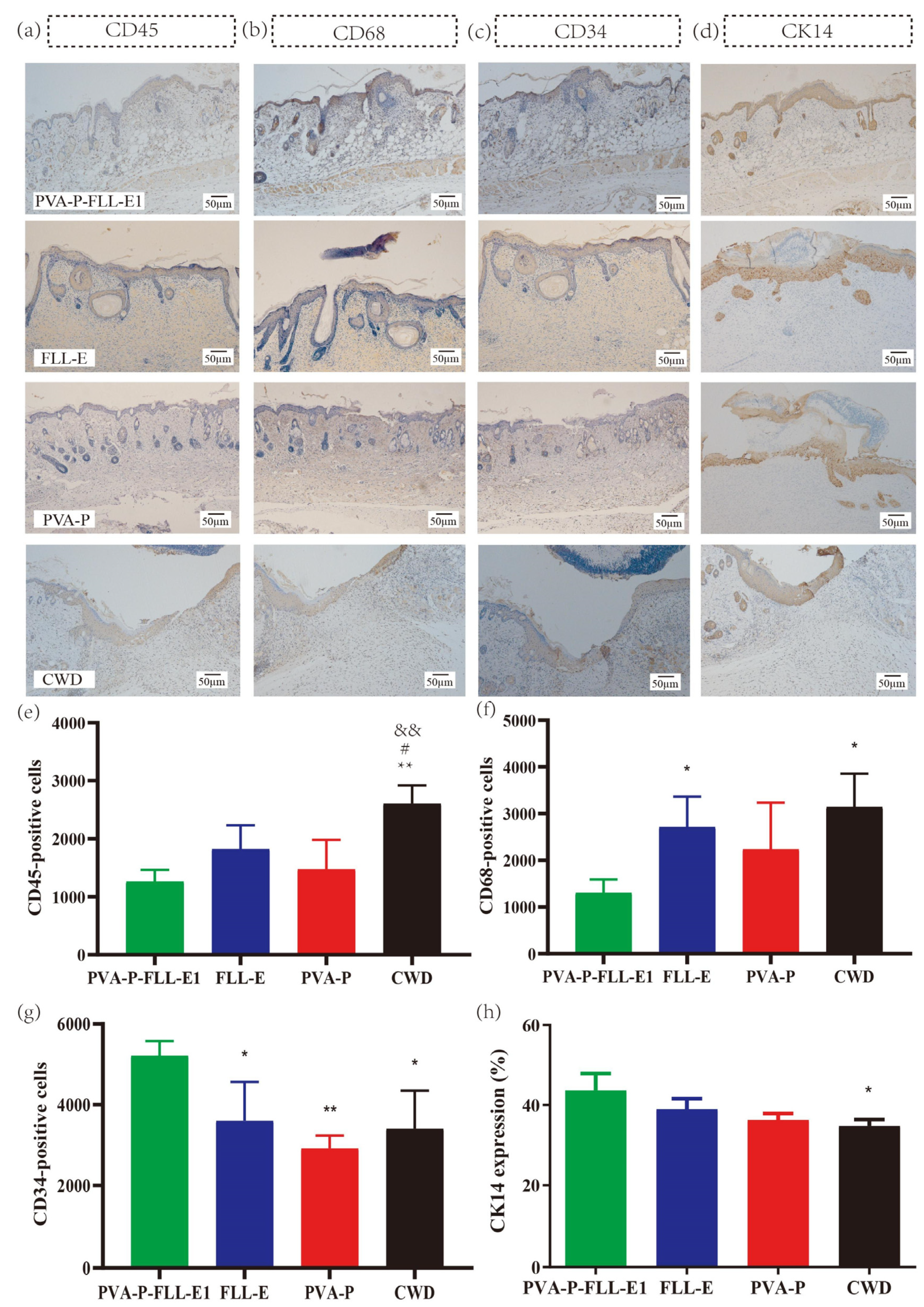 Molecules 29 01423 g006