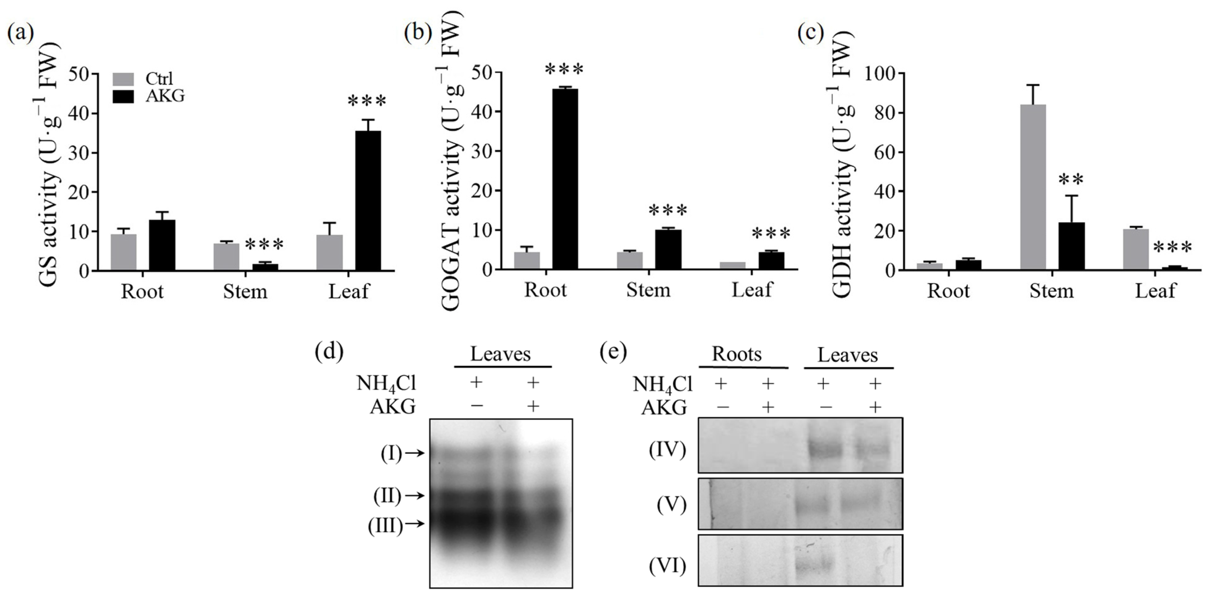 Molecules 29 01425 g004
