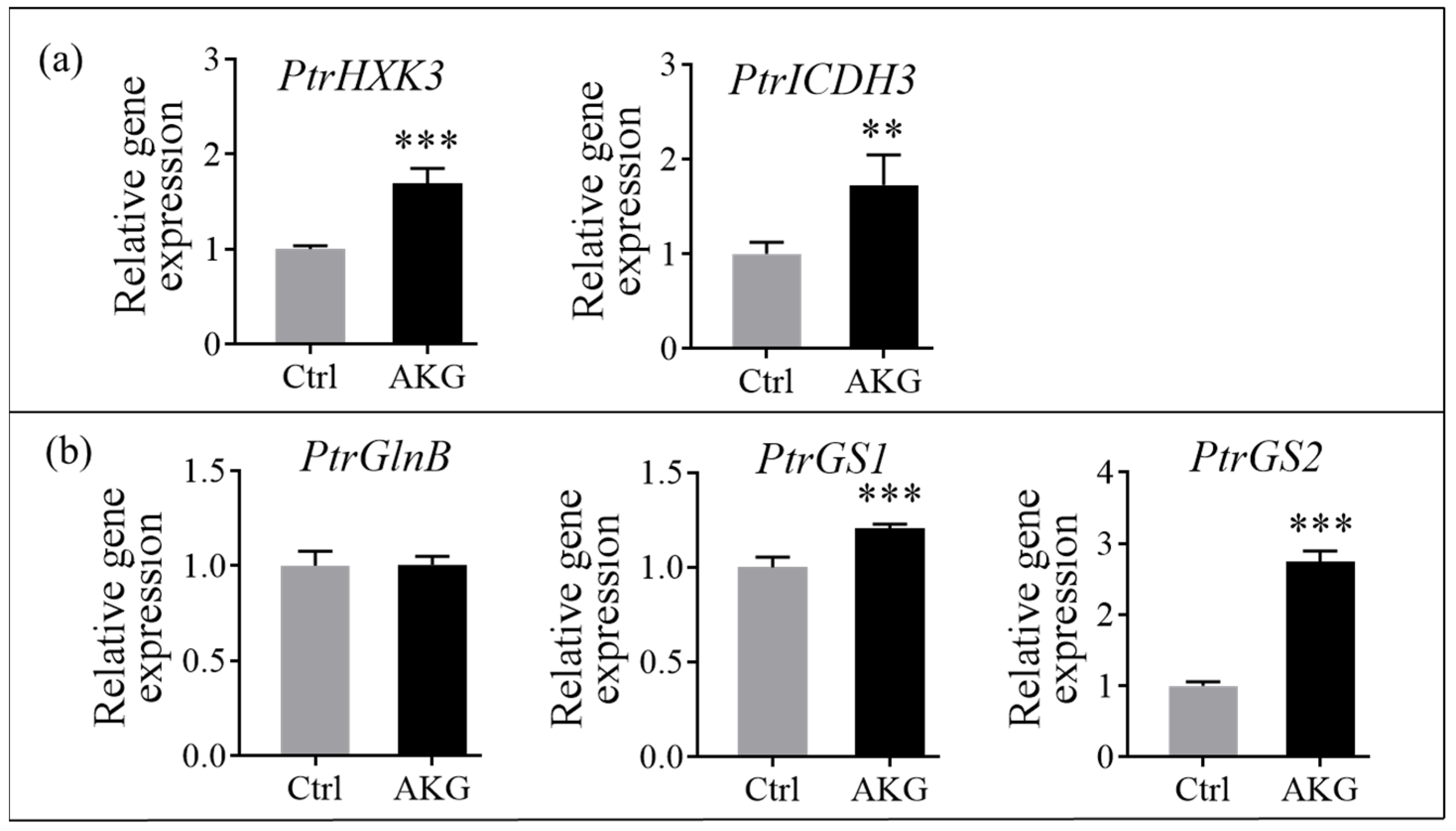 Molecules 29 01425 g009
