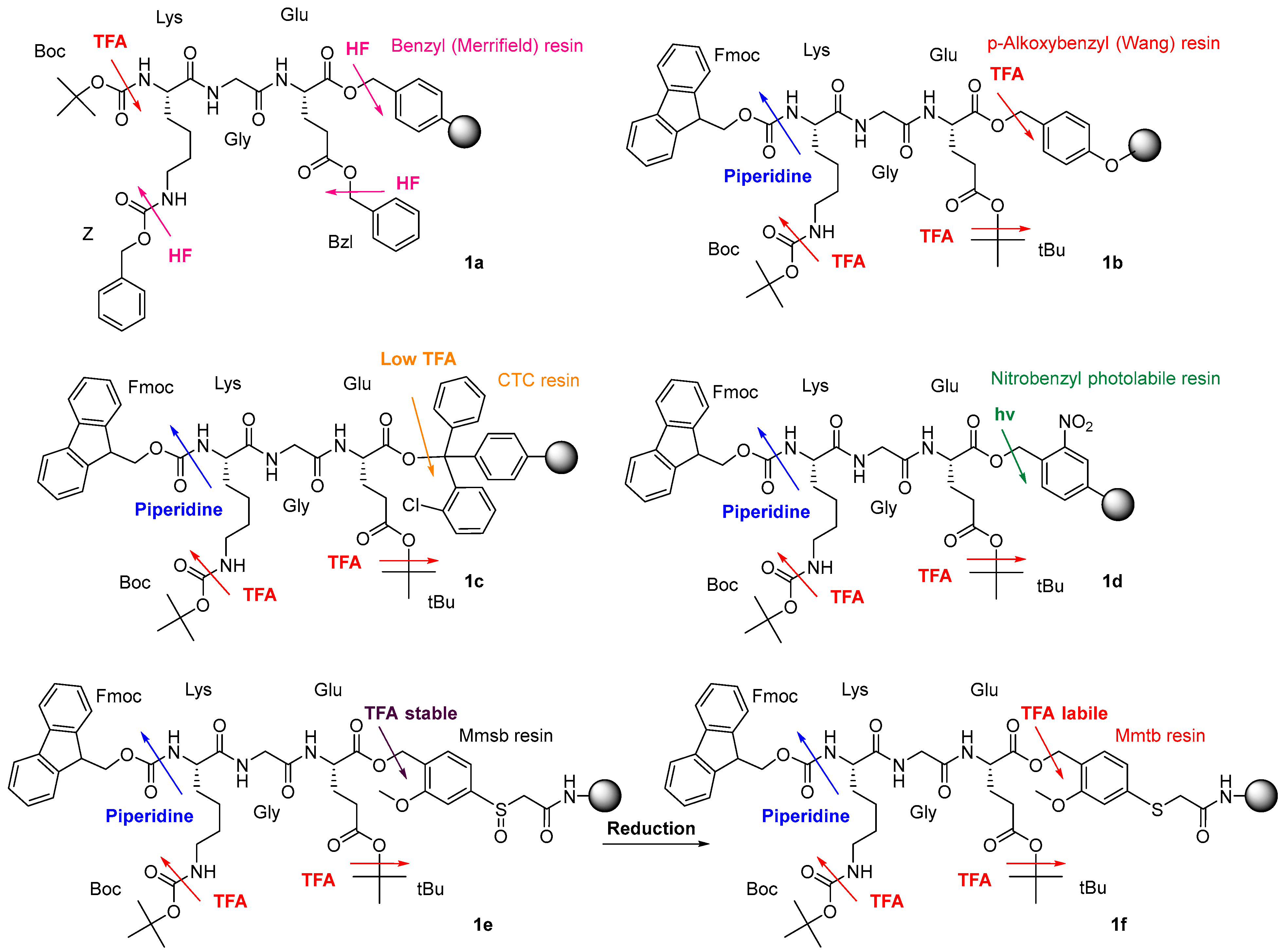Molecules 29 01429 g001