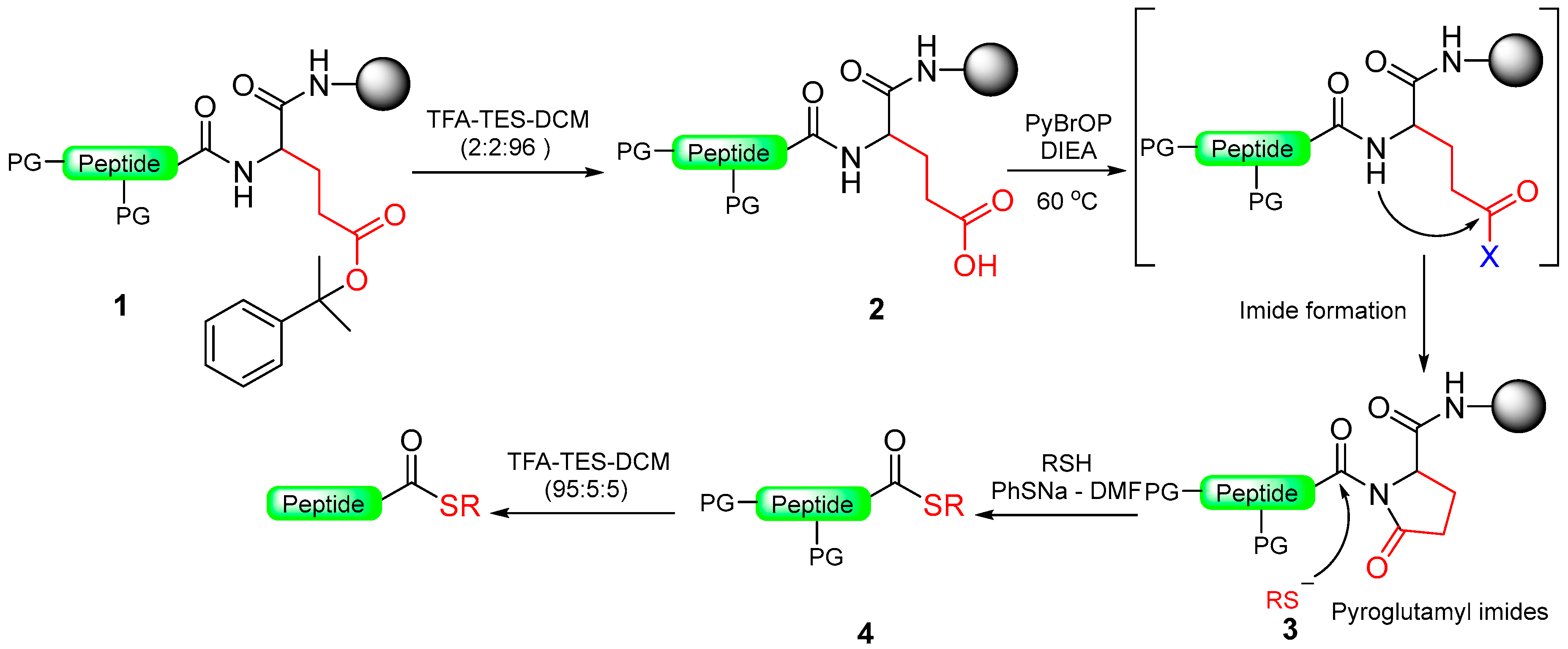 Molecules 29 01429 sch015