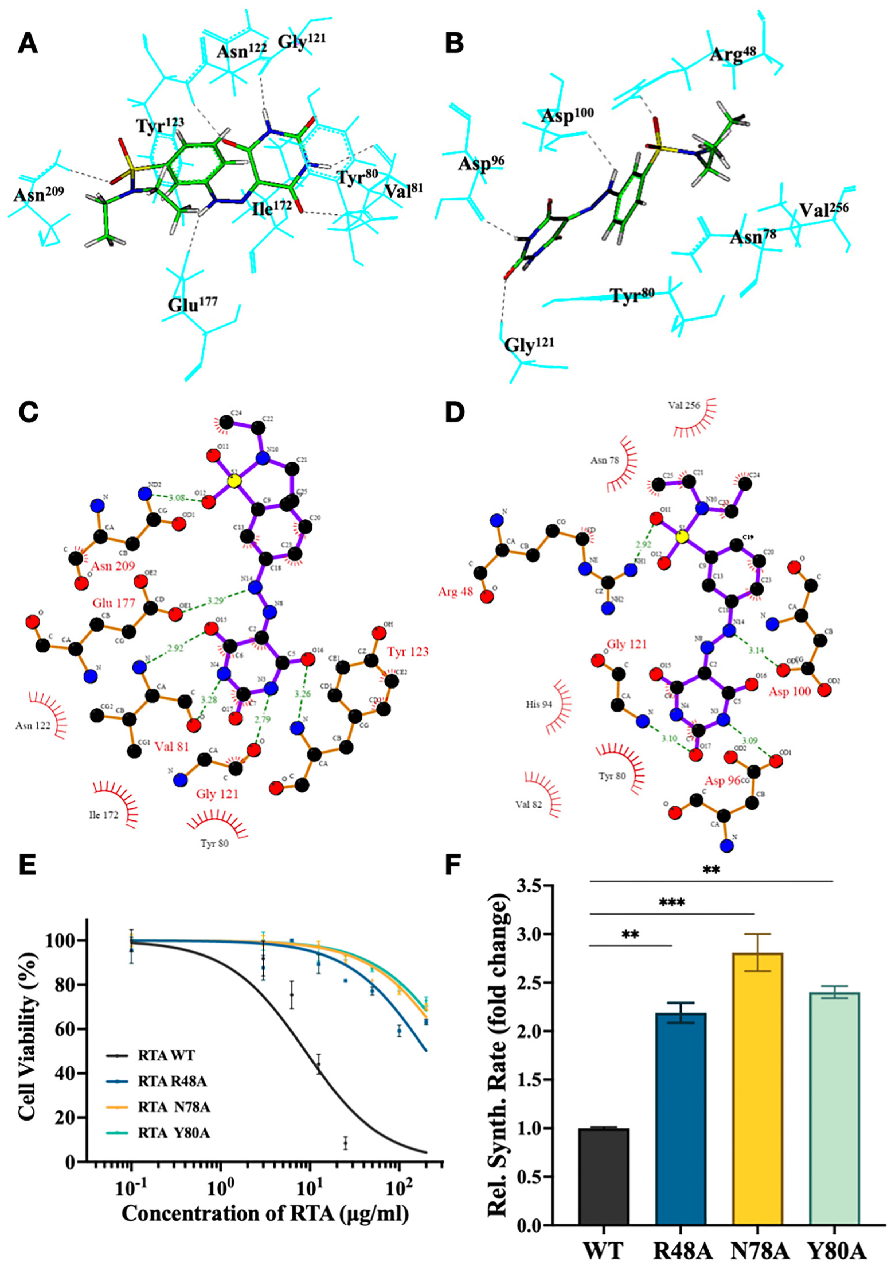 Molecules 29 01435 g005