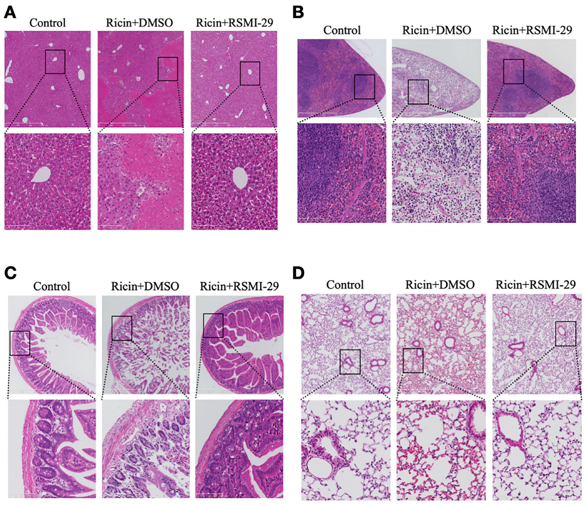 Molecules 29 01435 g007