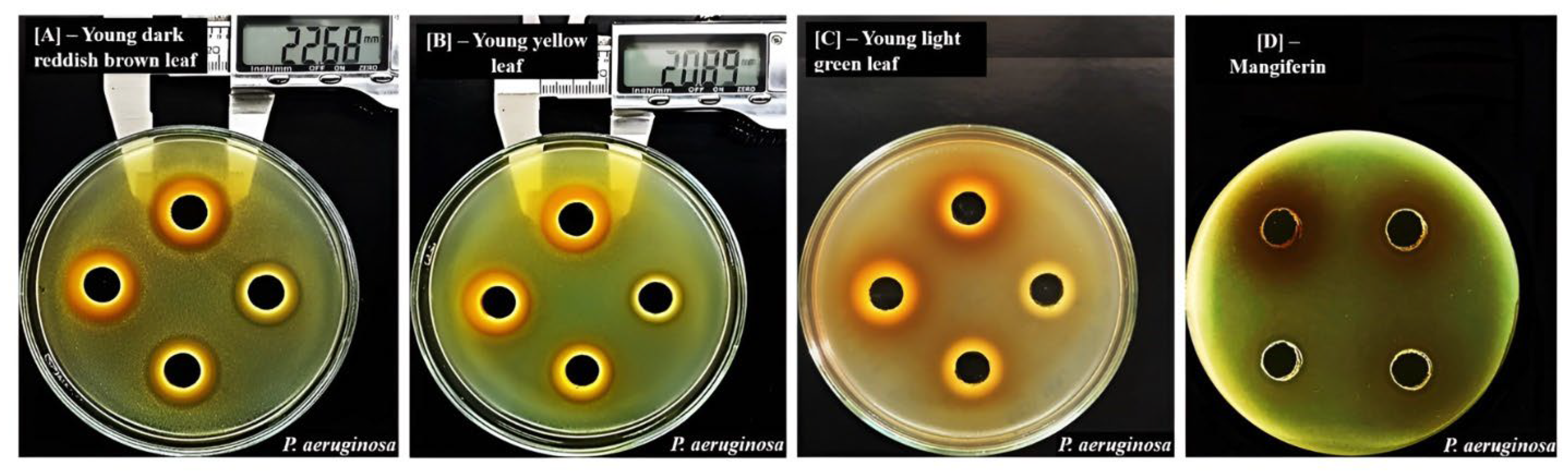 Molecules 29 01443 g004 Molecules 29 01443 g004