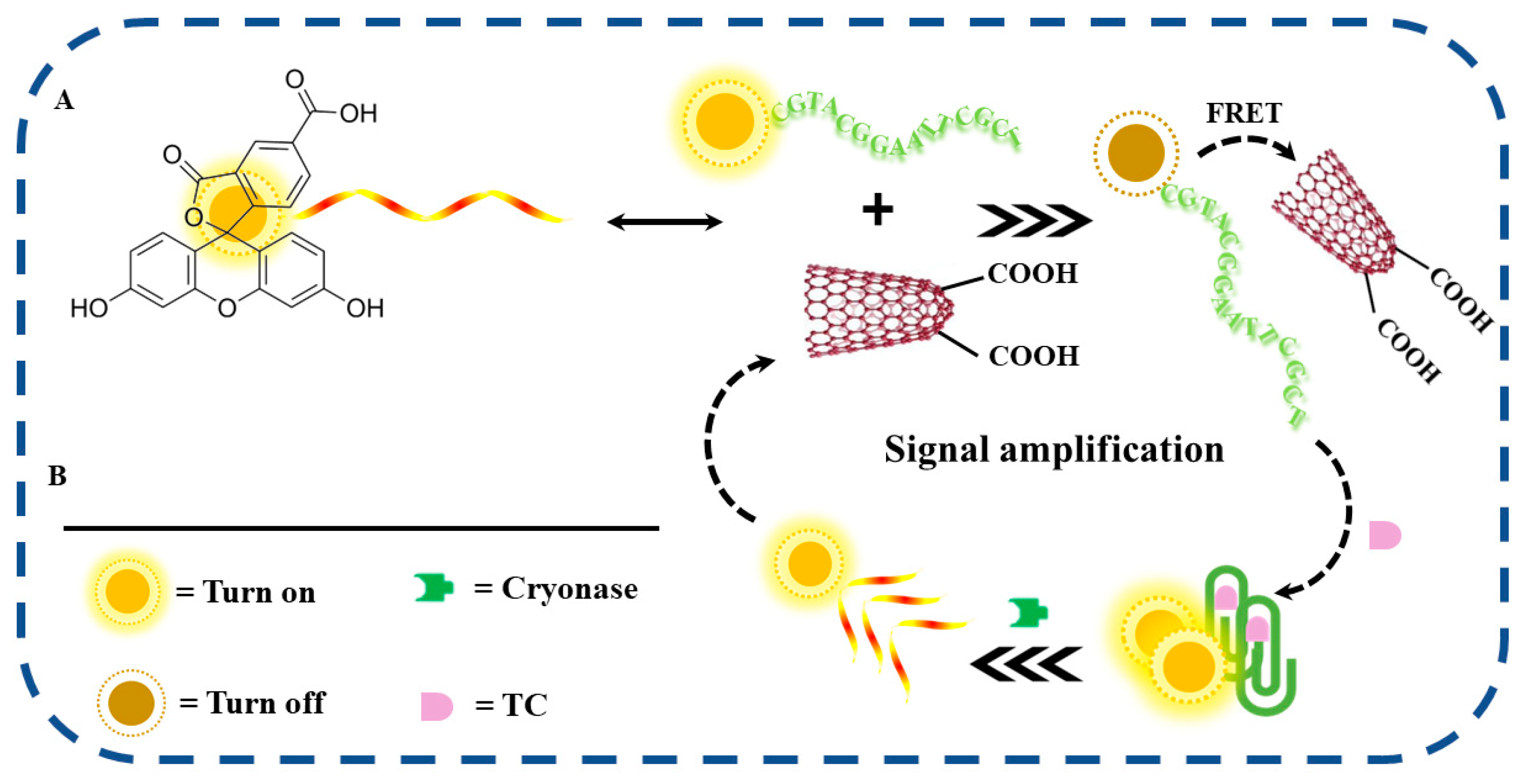 Molecules 29 01444 sch001