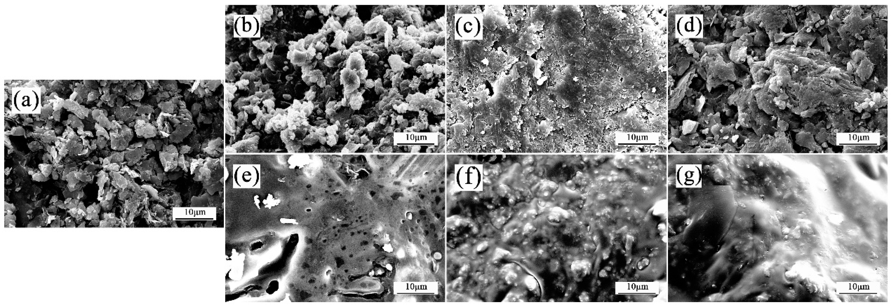 Molecules 29 01456 g013 Molecules 29 01456 g013