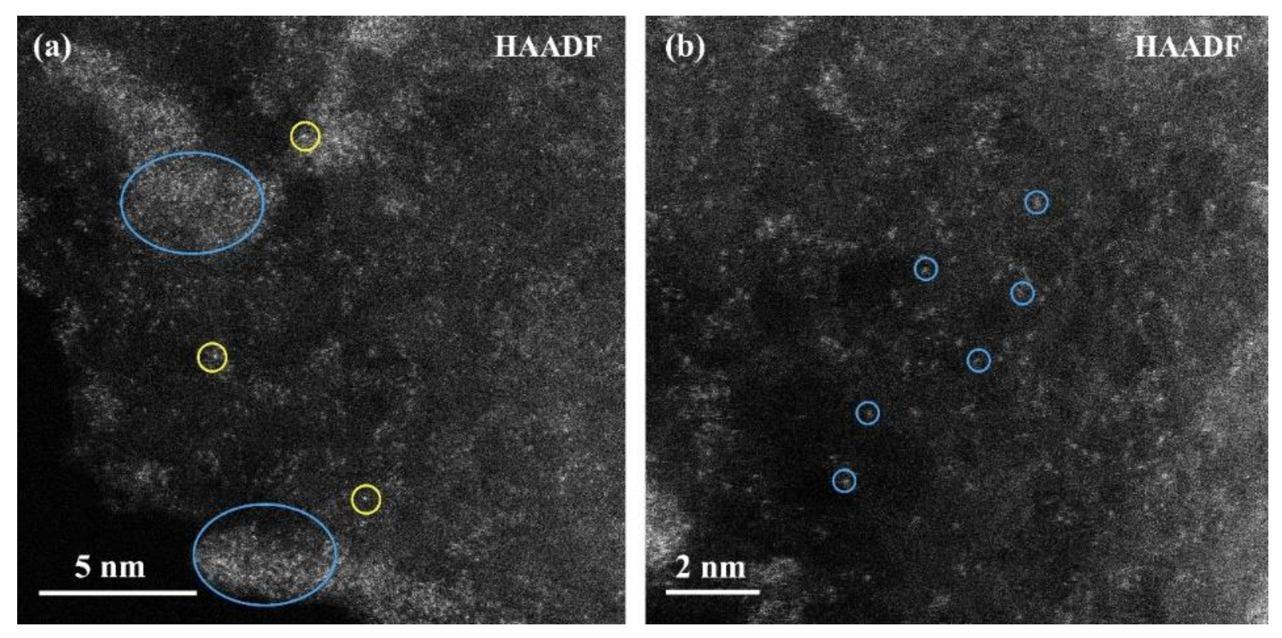 Molecules 29 01463 g005