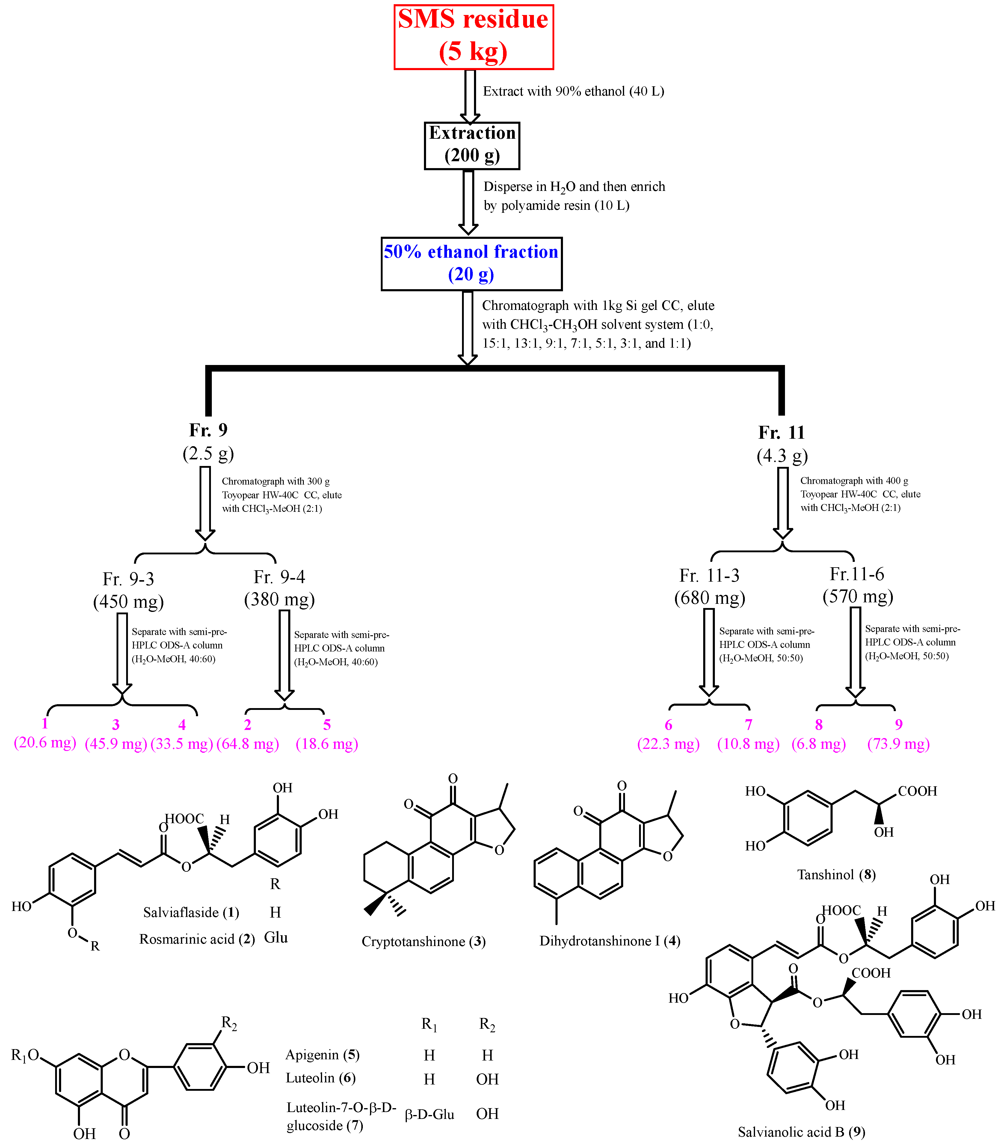 Molecules | Free Full-Text | An Evaluation of the Edible Value of ...