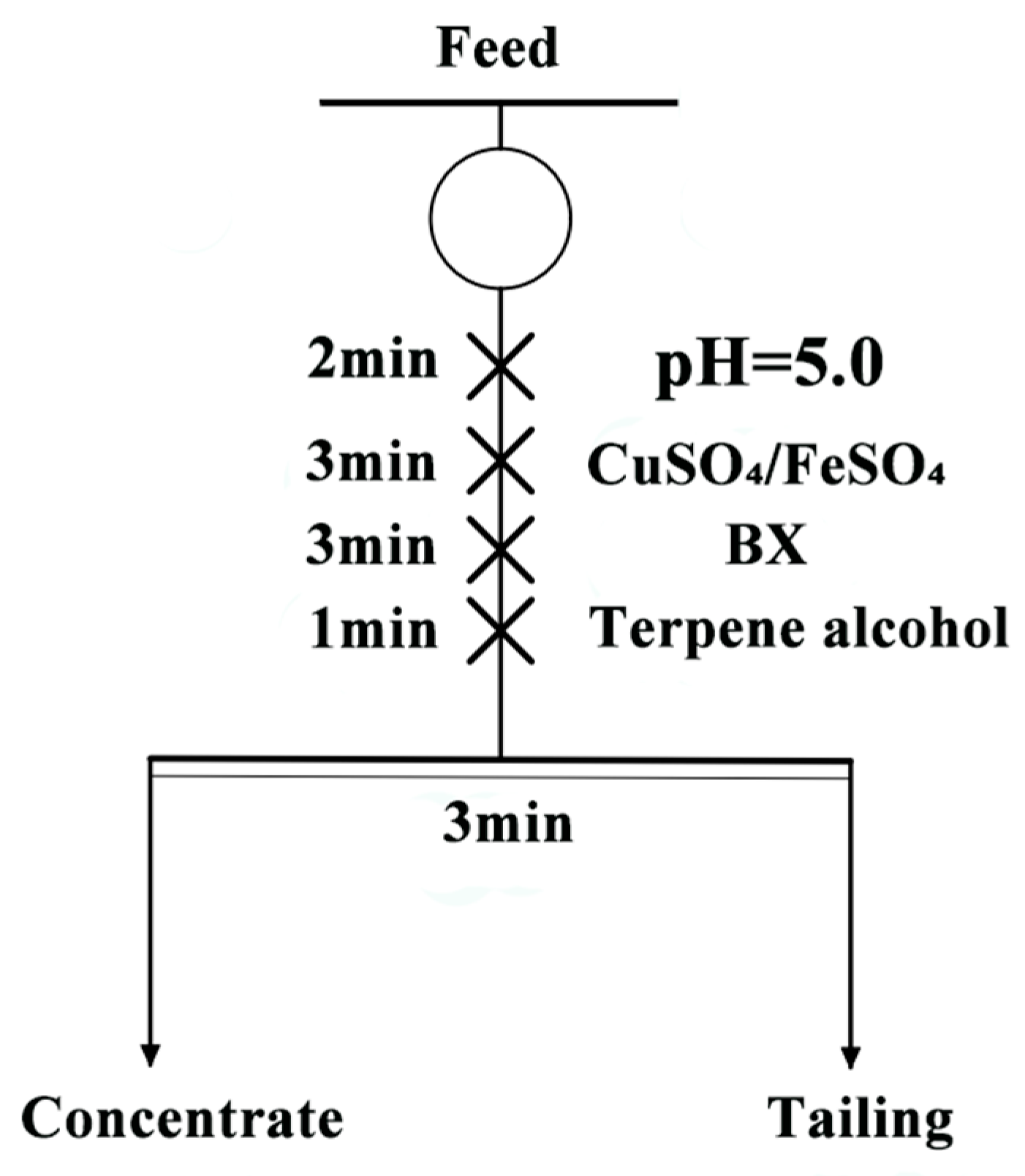 Molecules 29 01490 g007