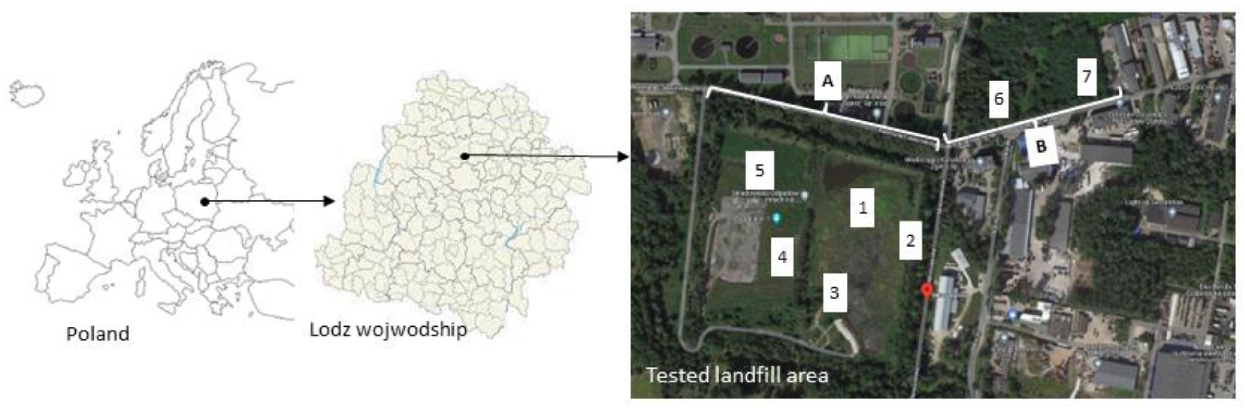 Molecules 29 01496 g006