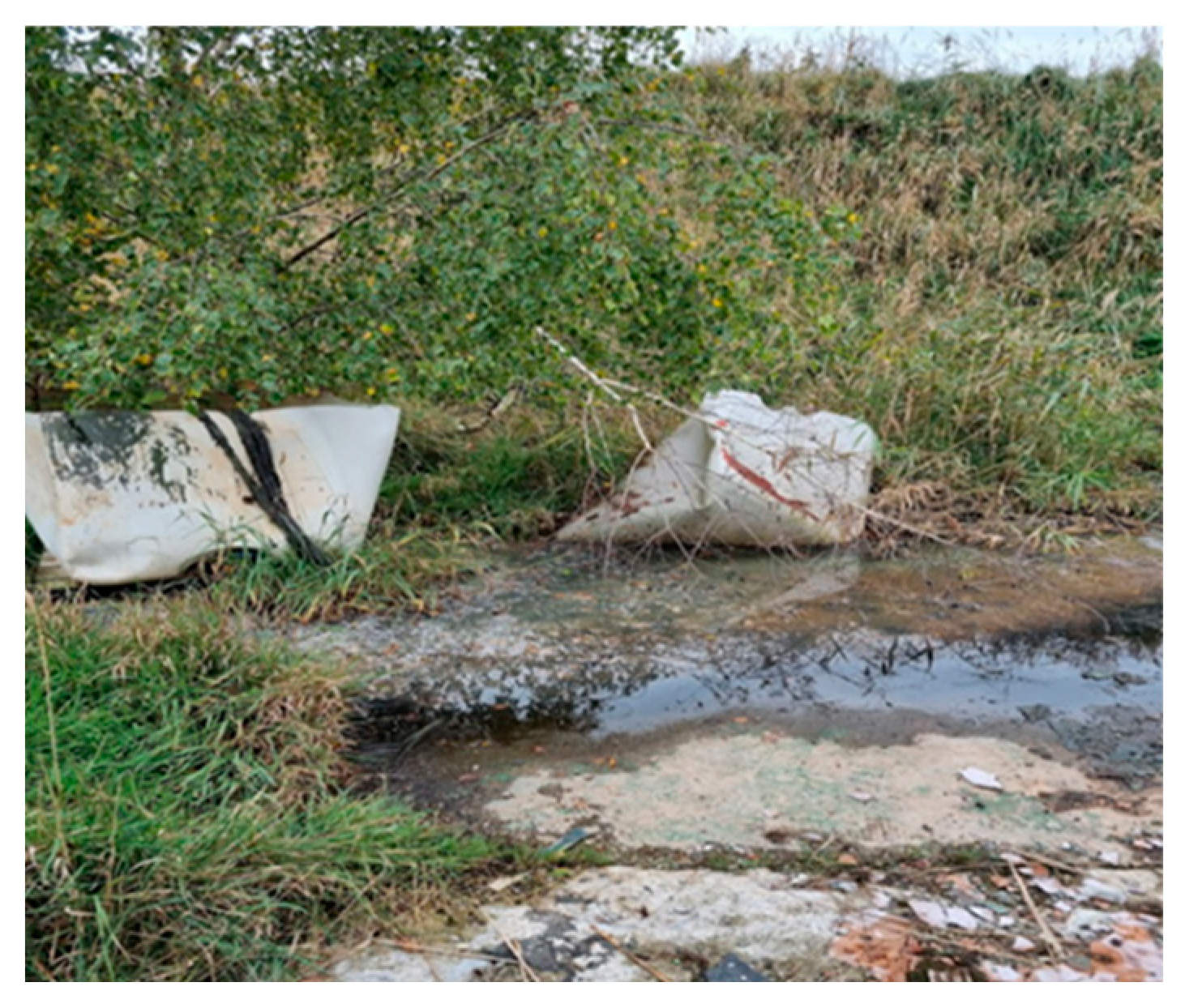 Molecules 29 01496 i001