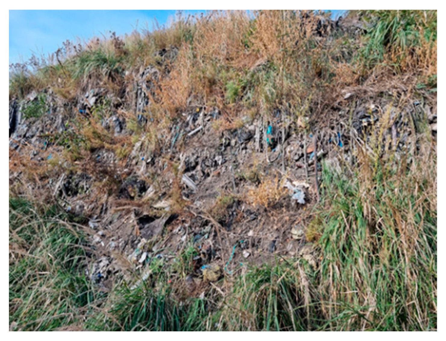 Molecules 29 01496 i005