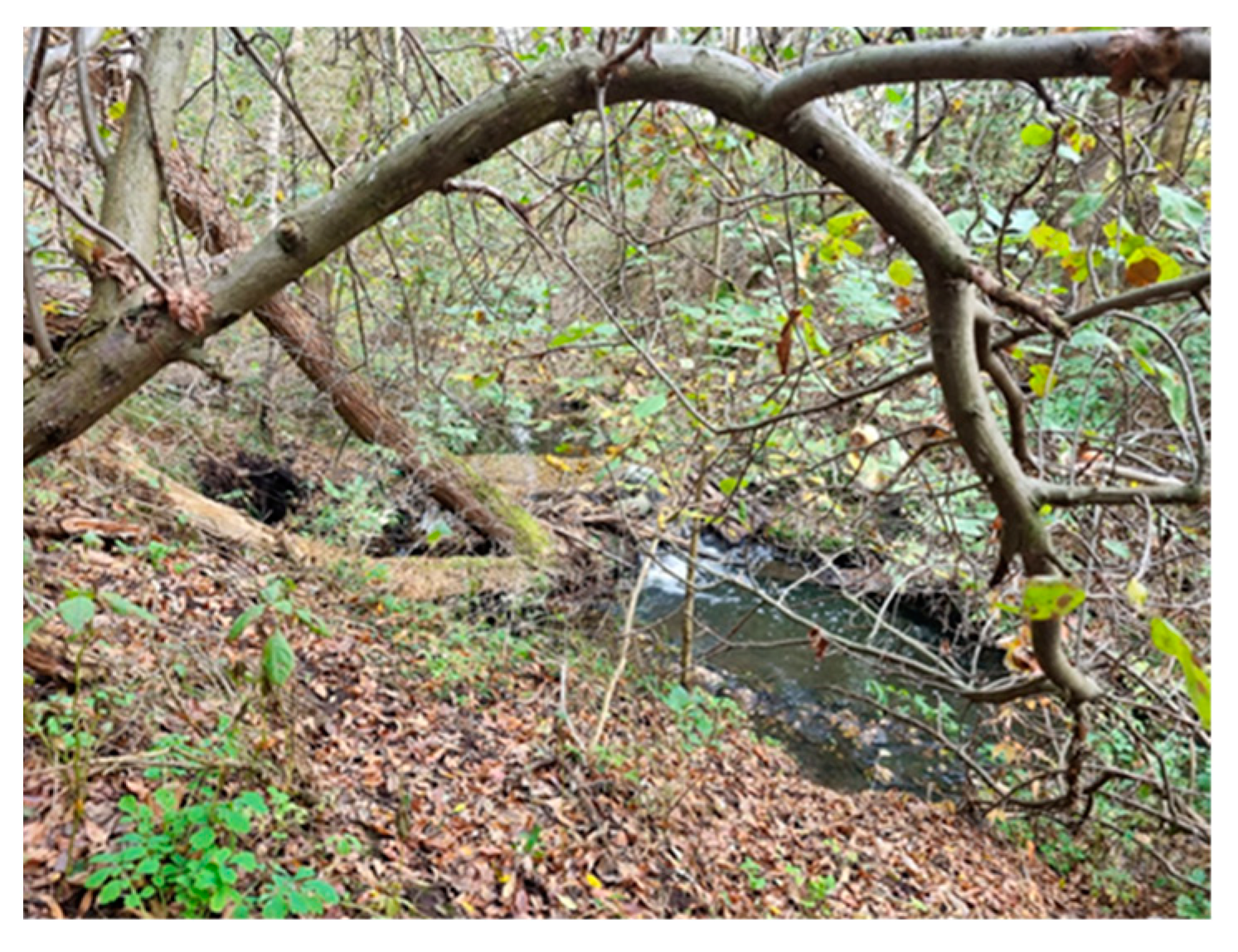 Molecules 29 01496 i006