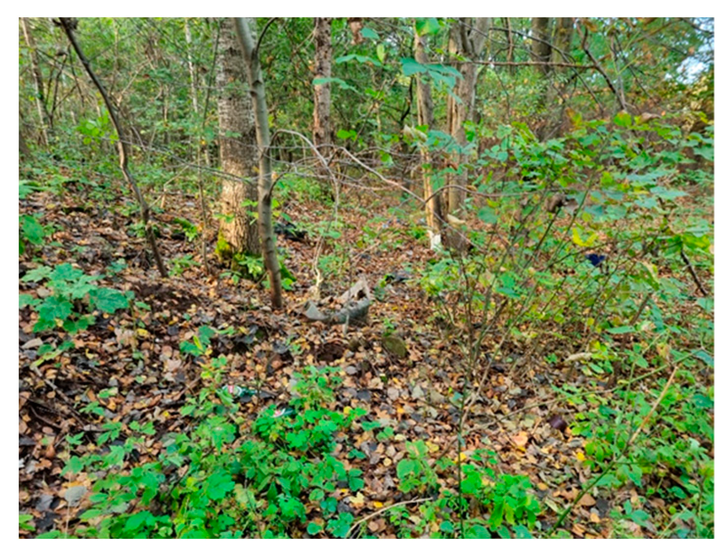 Molecules 29 01496 i008