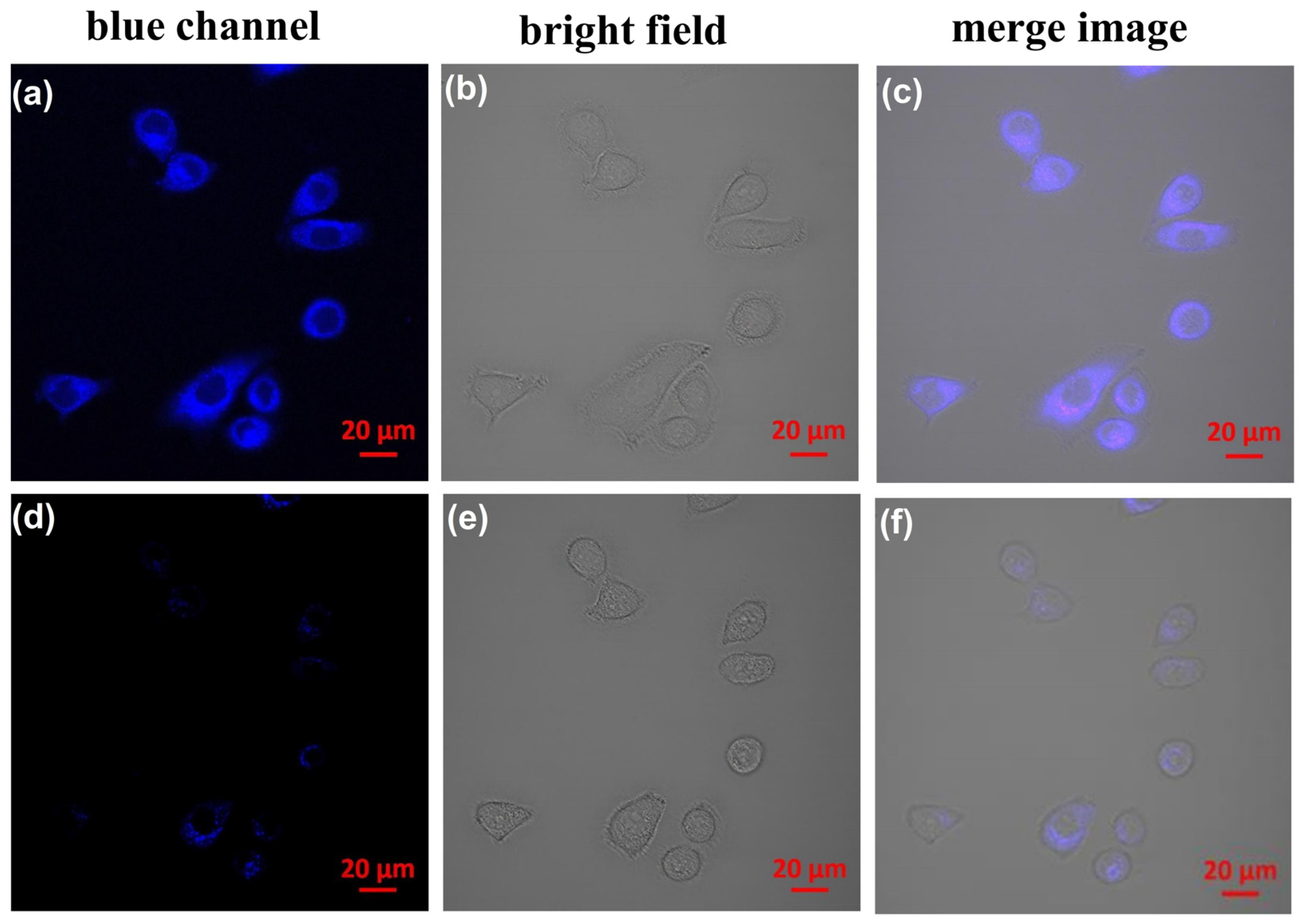 Molecules 29 01504 g008