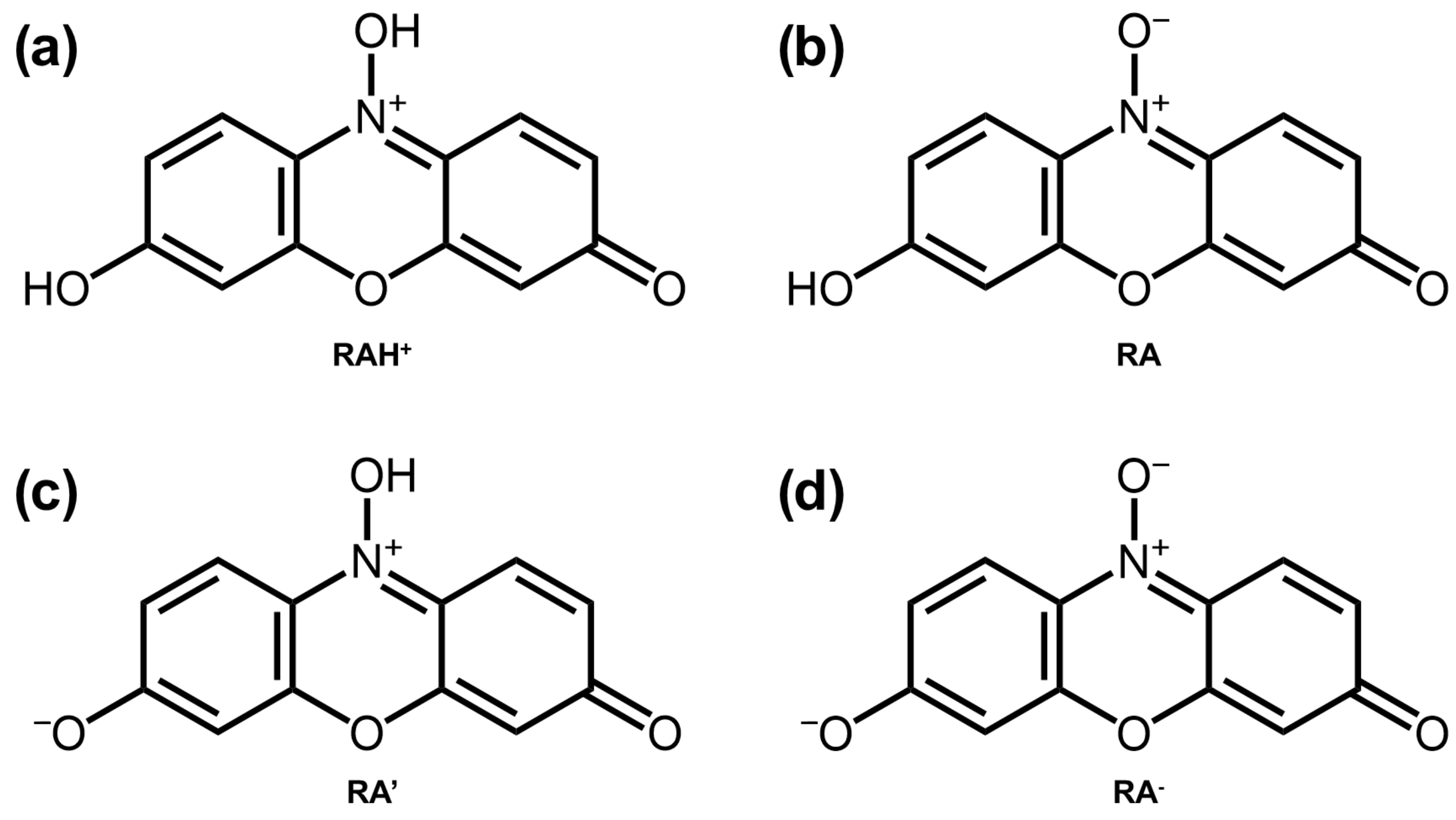 Molecules 29 01507 g002