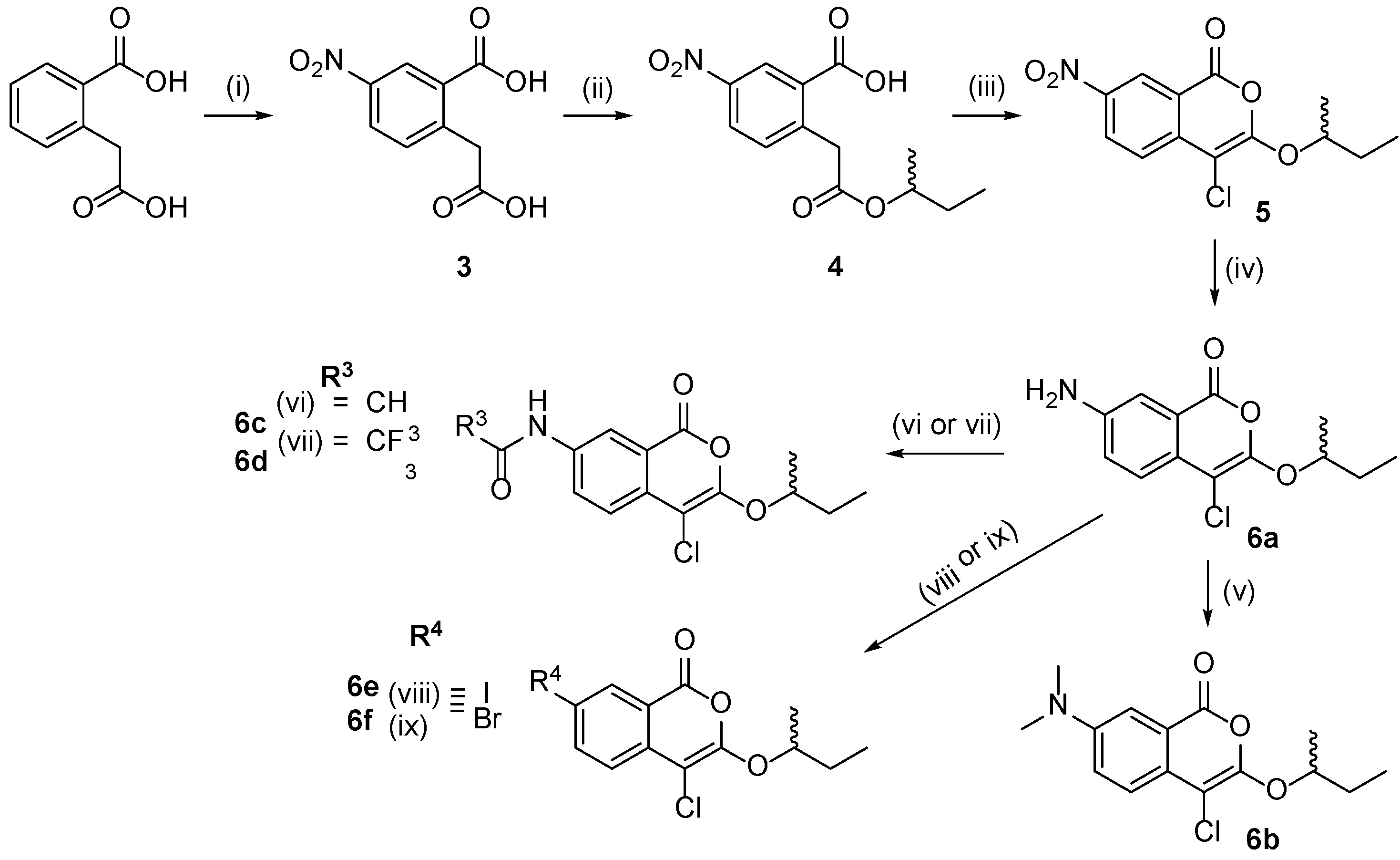 Molecules 29 01519 sch002