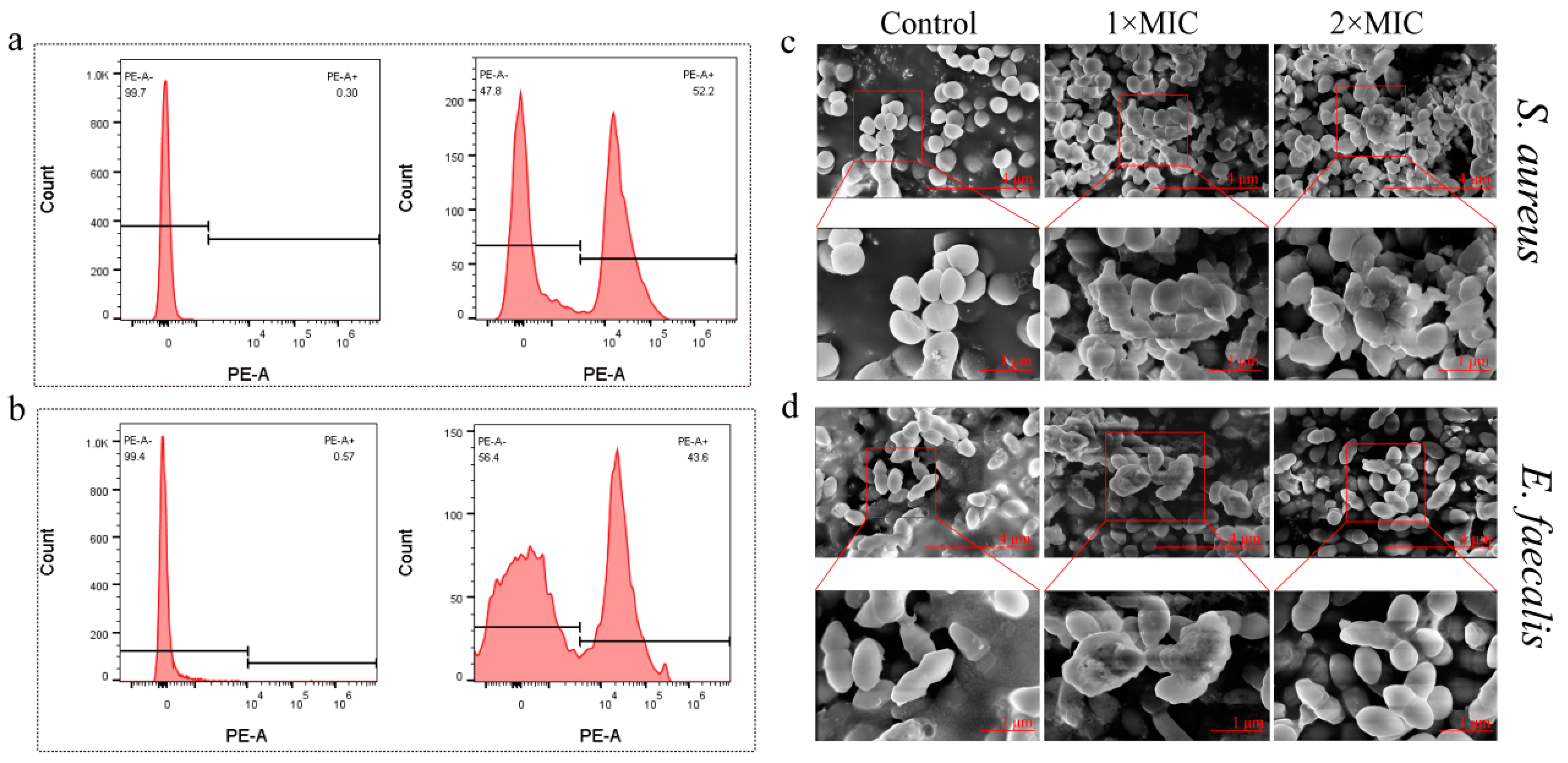 Molecules 29 01534 g007