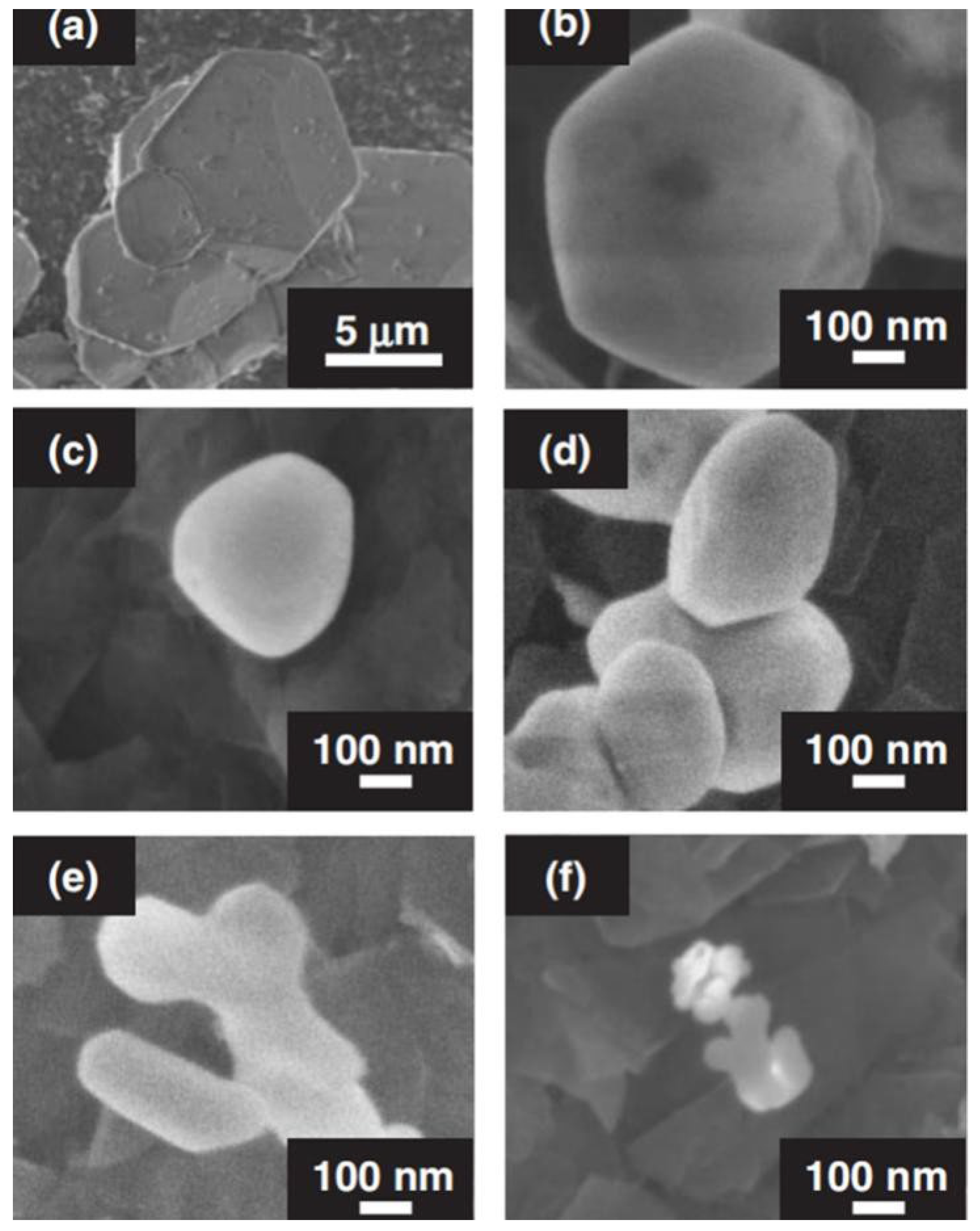 Molecules 29 01549 g002