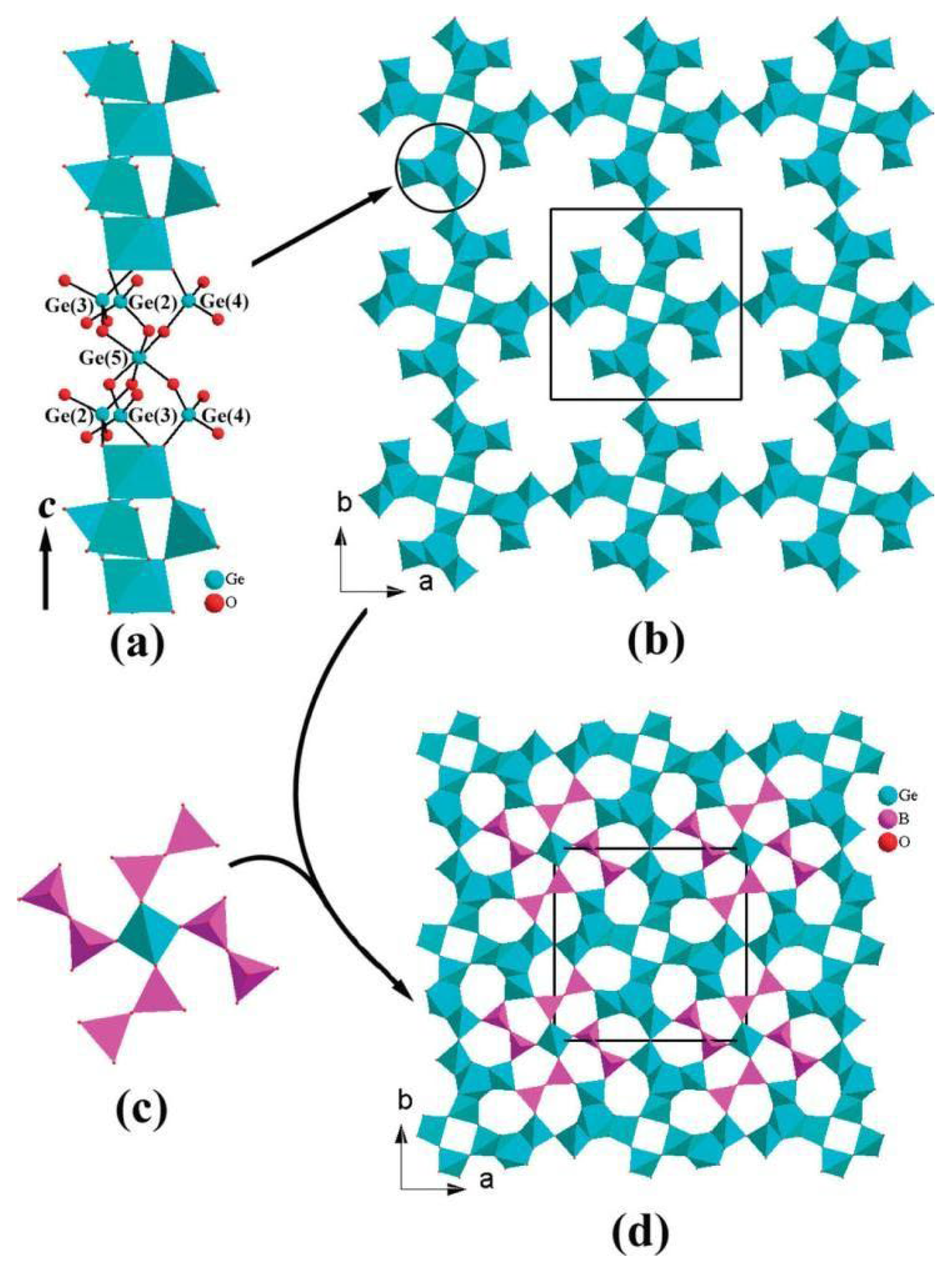 Molecules 29 01549 g005