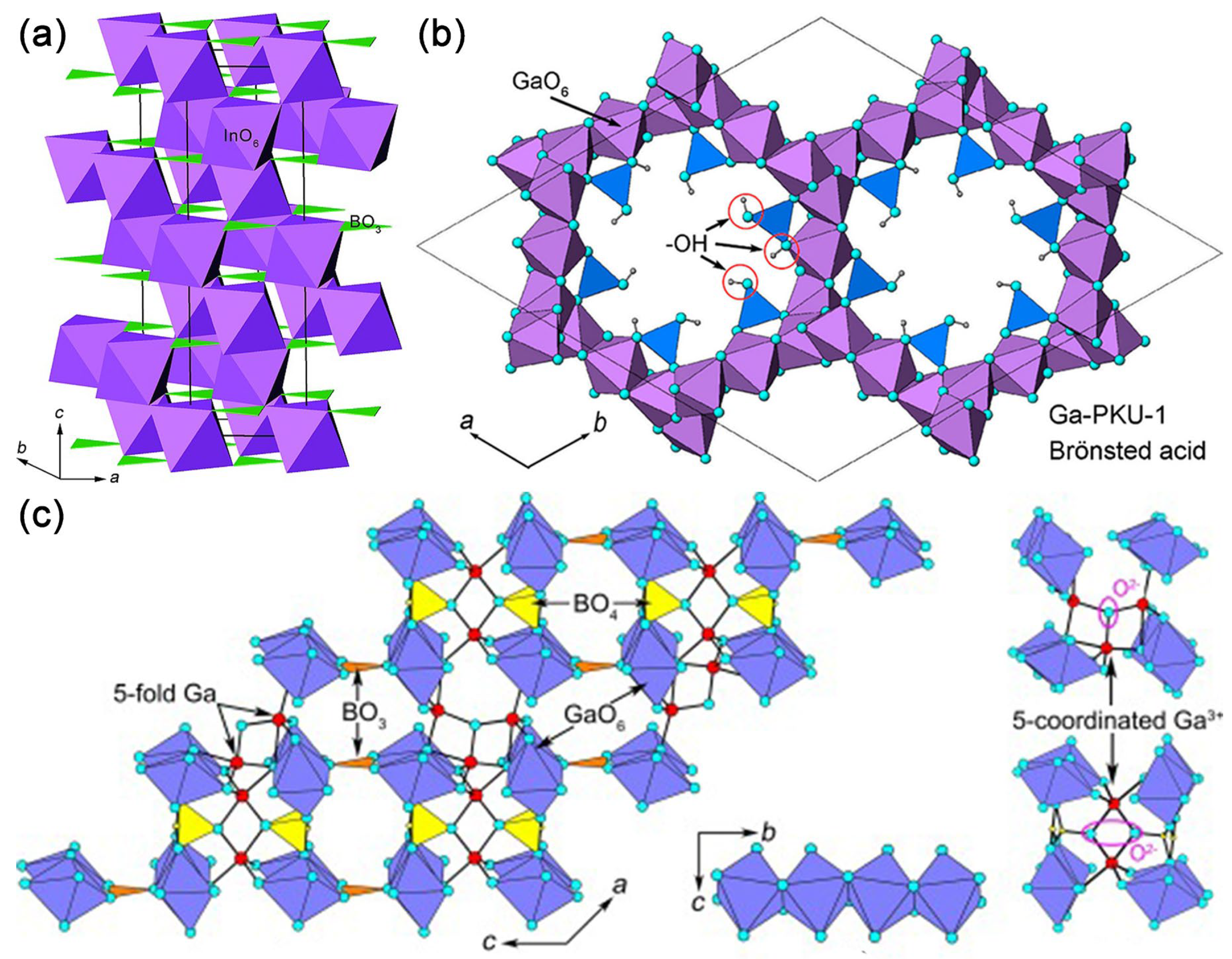 Molecules 29 01549 g006