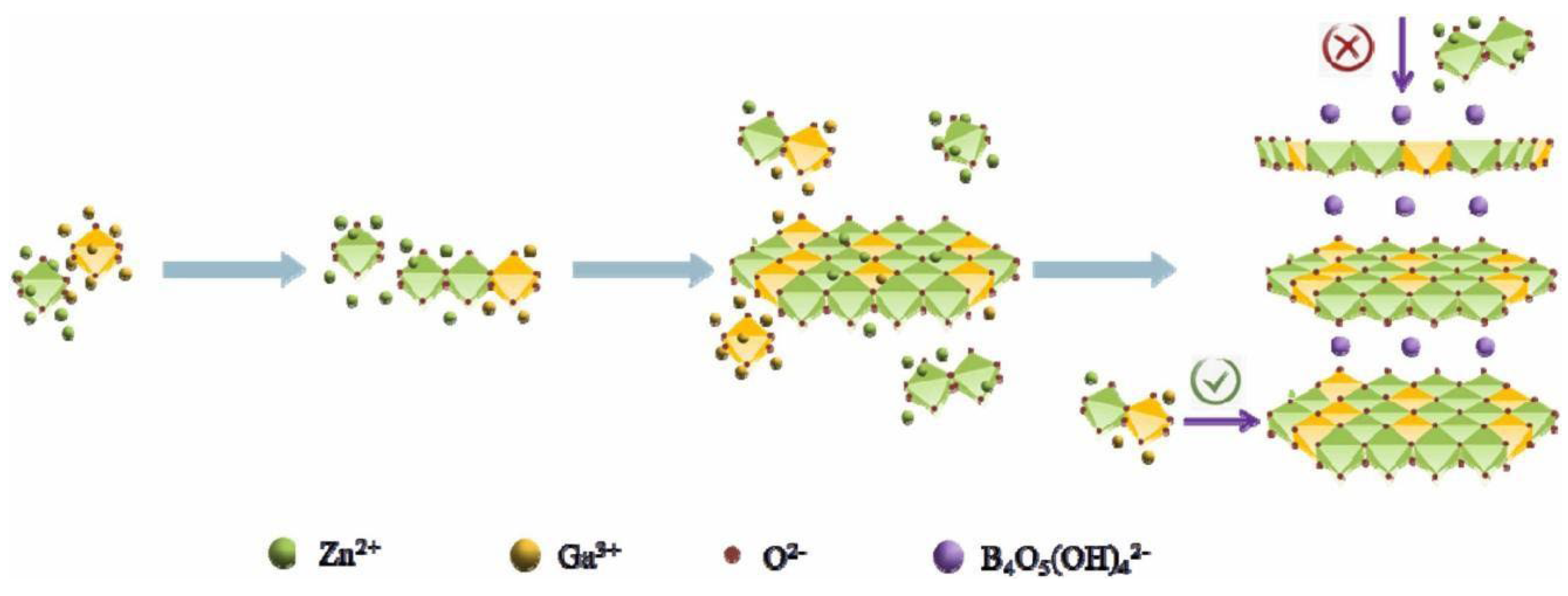 Molecules 29 01549 g008