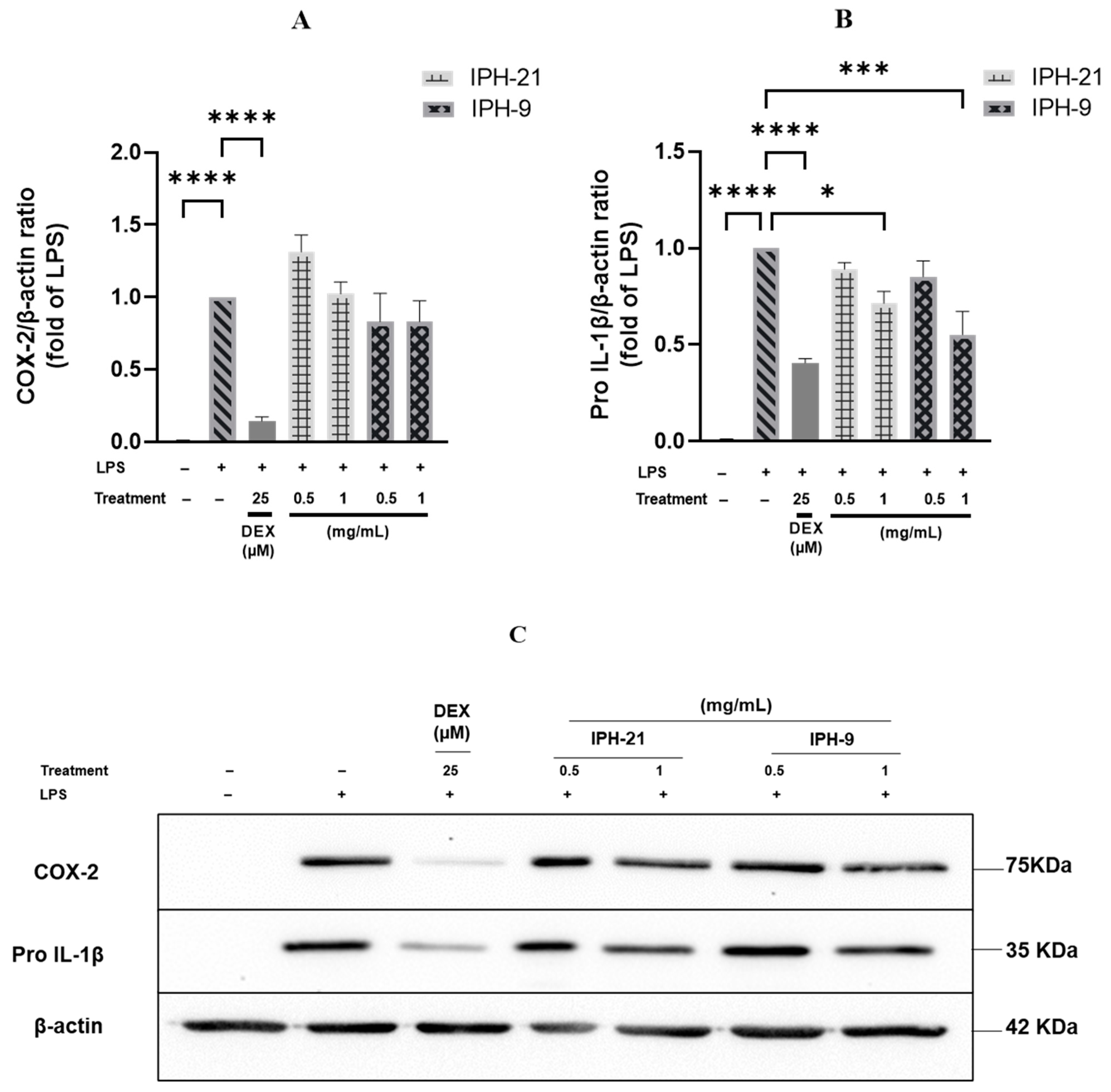 Molecules 29 01552 g005