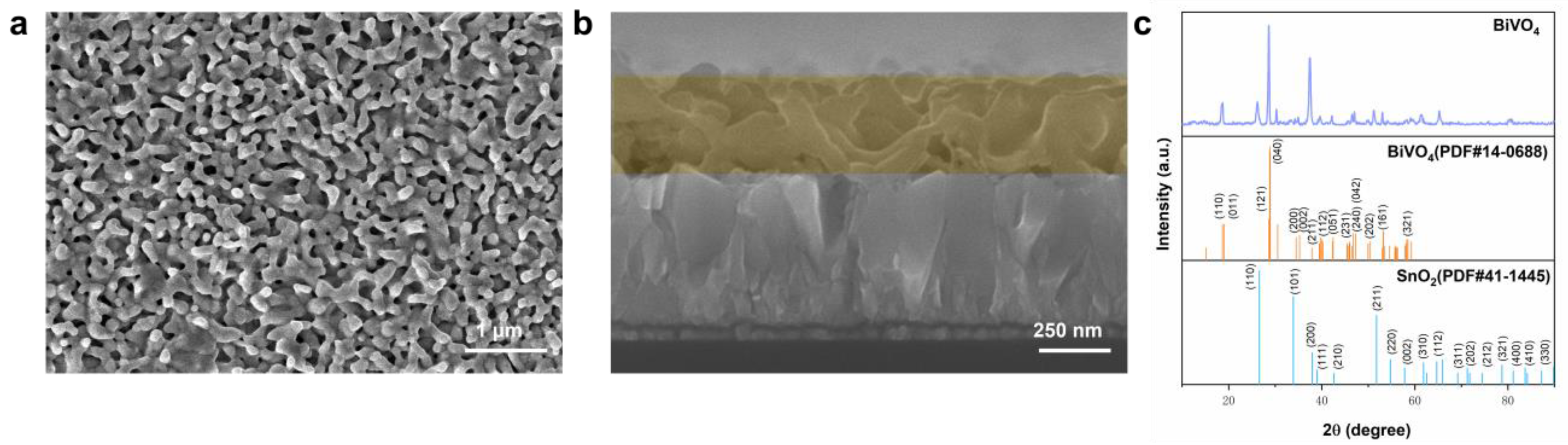 Molecules 29 01554 g001
