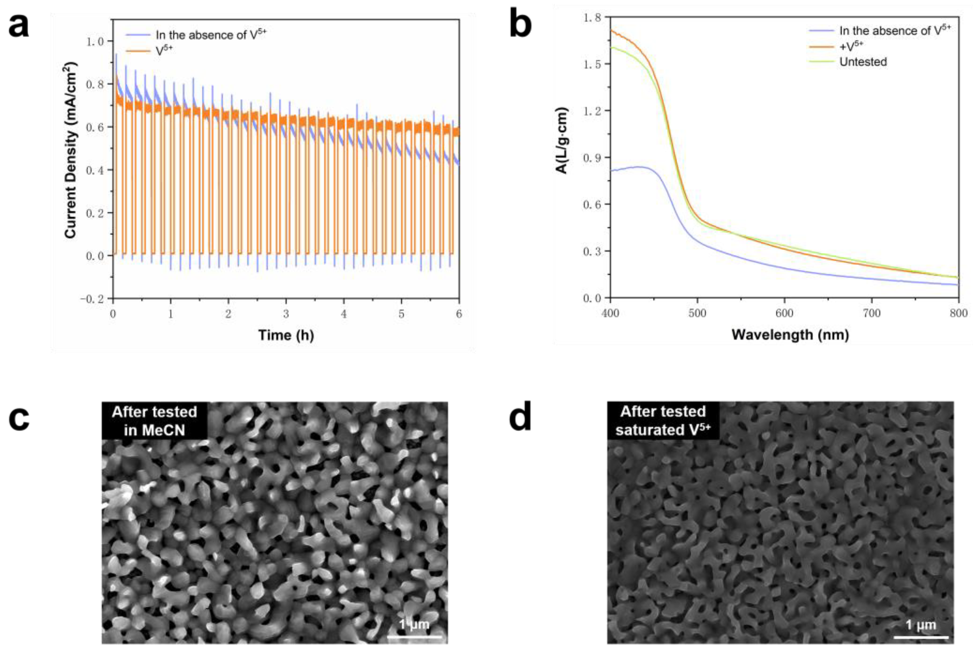 Molecules 29 01554 g002