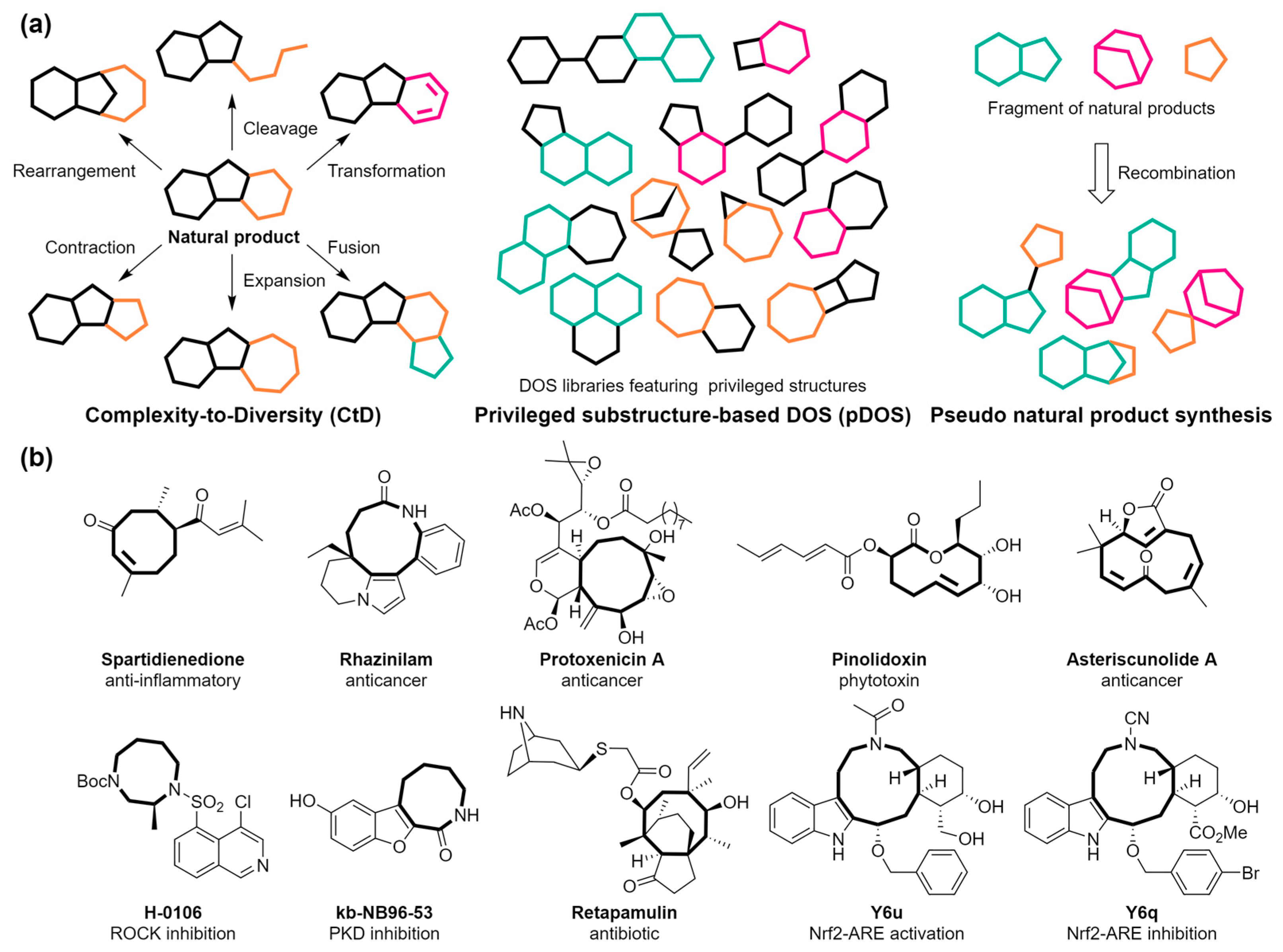 Molecules 29 01562 g001 Molecules 29 01562 g001