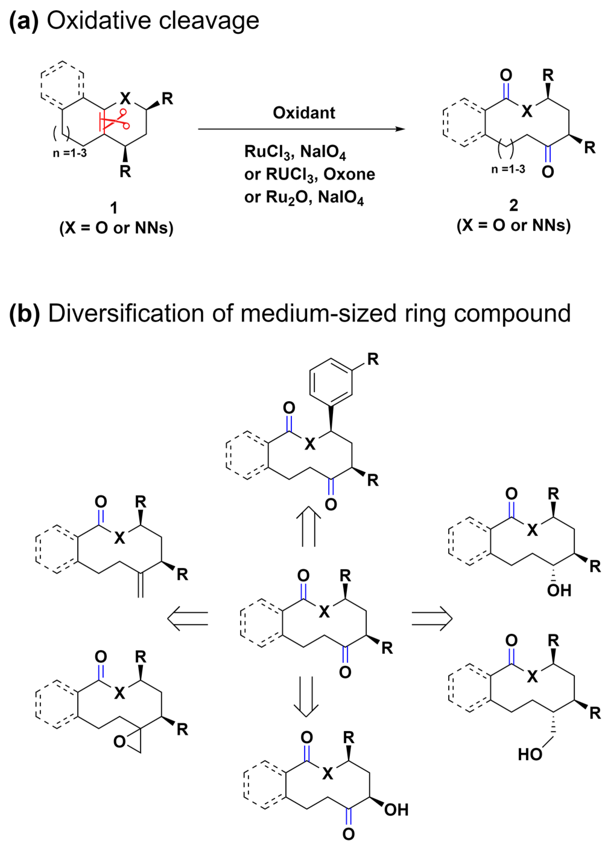 Molecules 29 01562 sch001 Molecules 29 01562 sch001