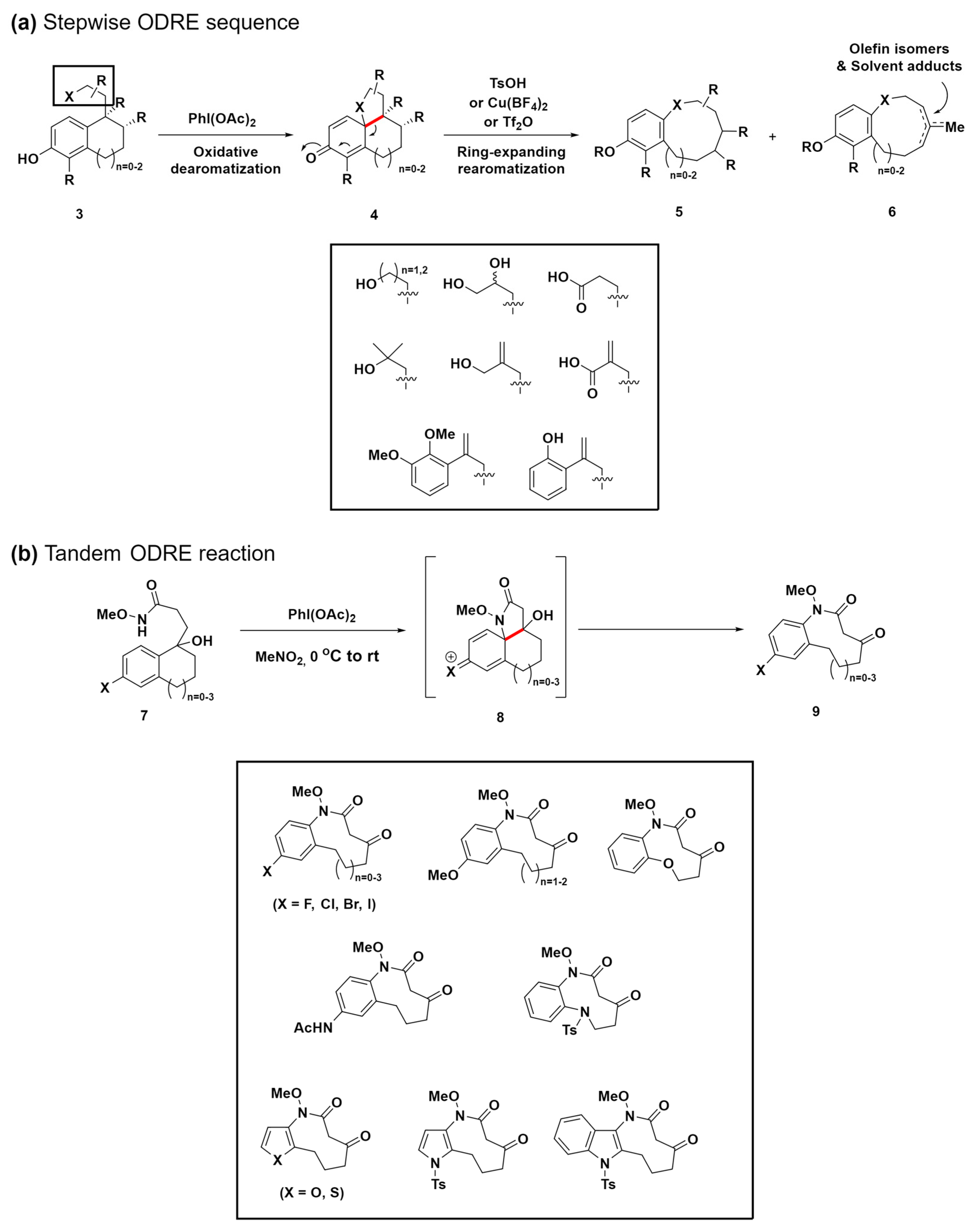 Molecules 29 01562 sch002 Molecules 29 01562 sch002