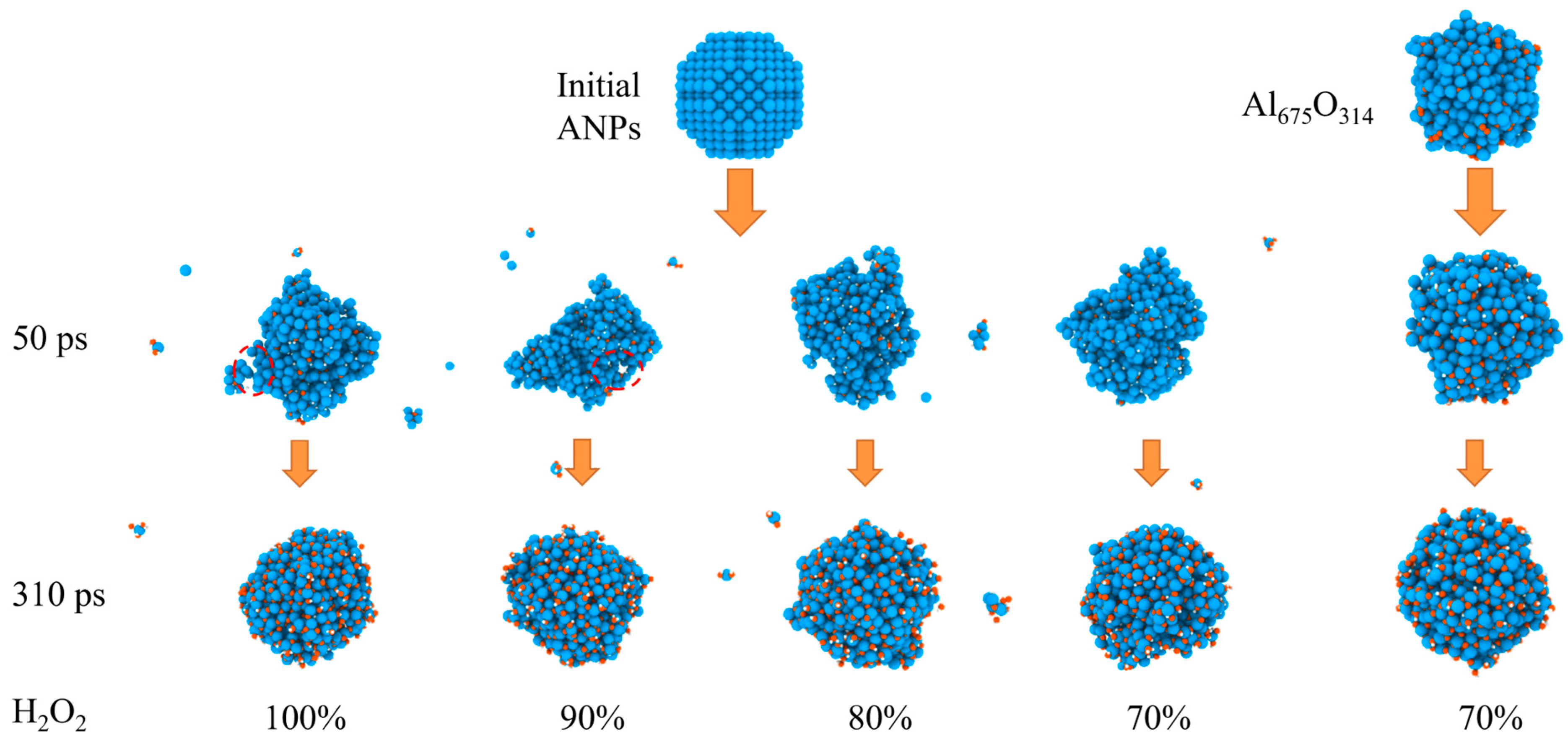 Molecules 29 01567 g012