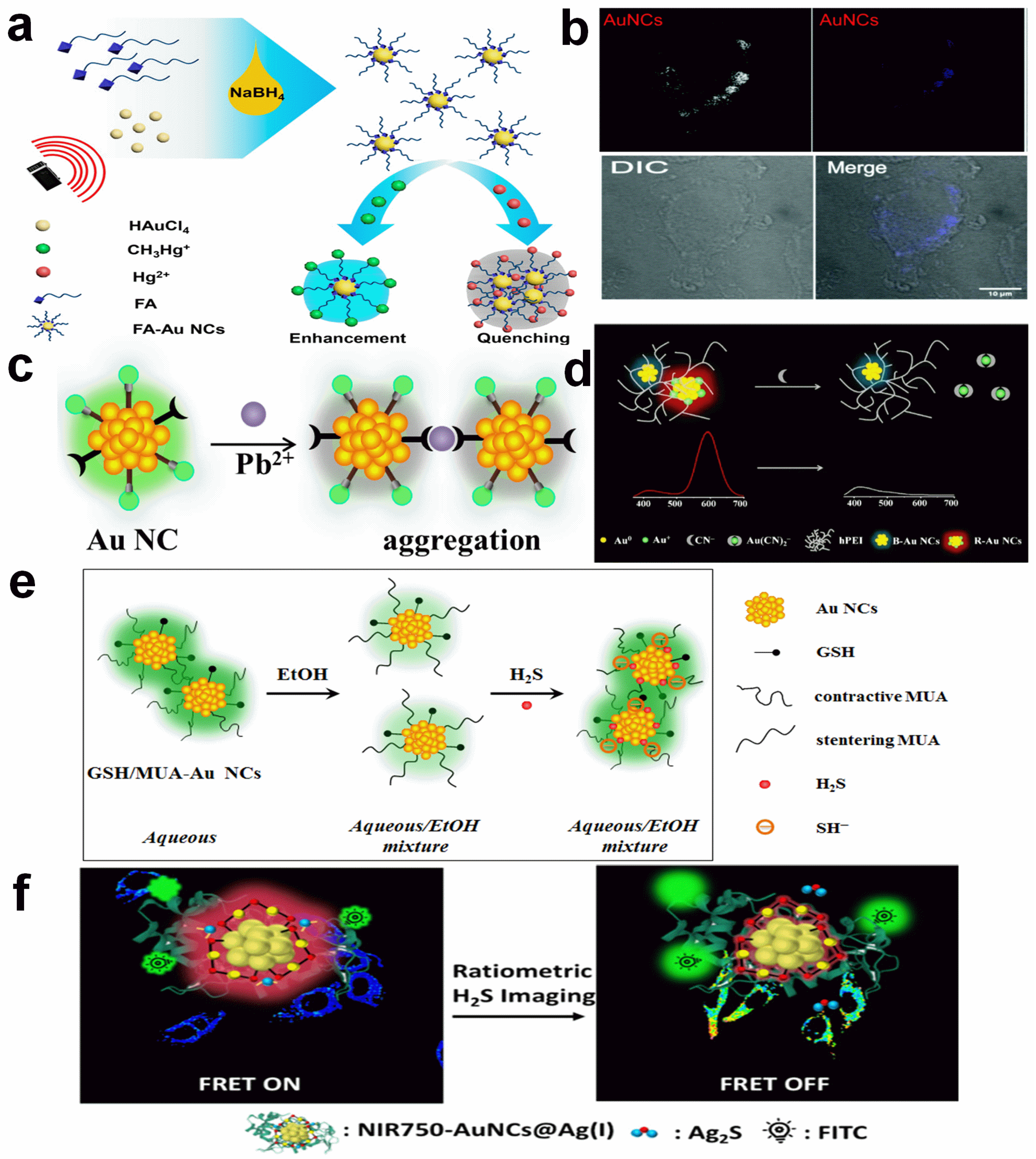Molecules 29 01574 g001