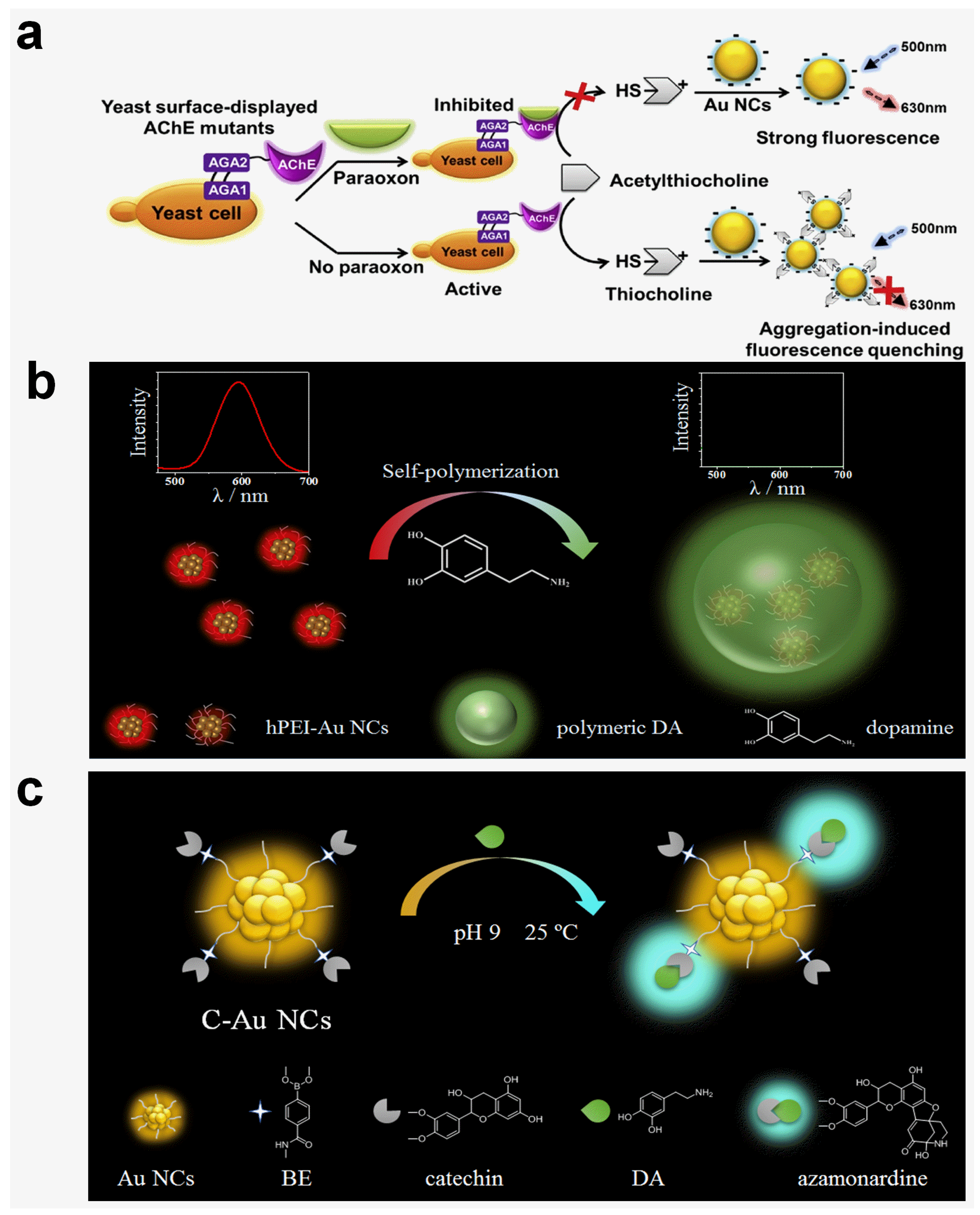Molecules 29 01574 g002