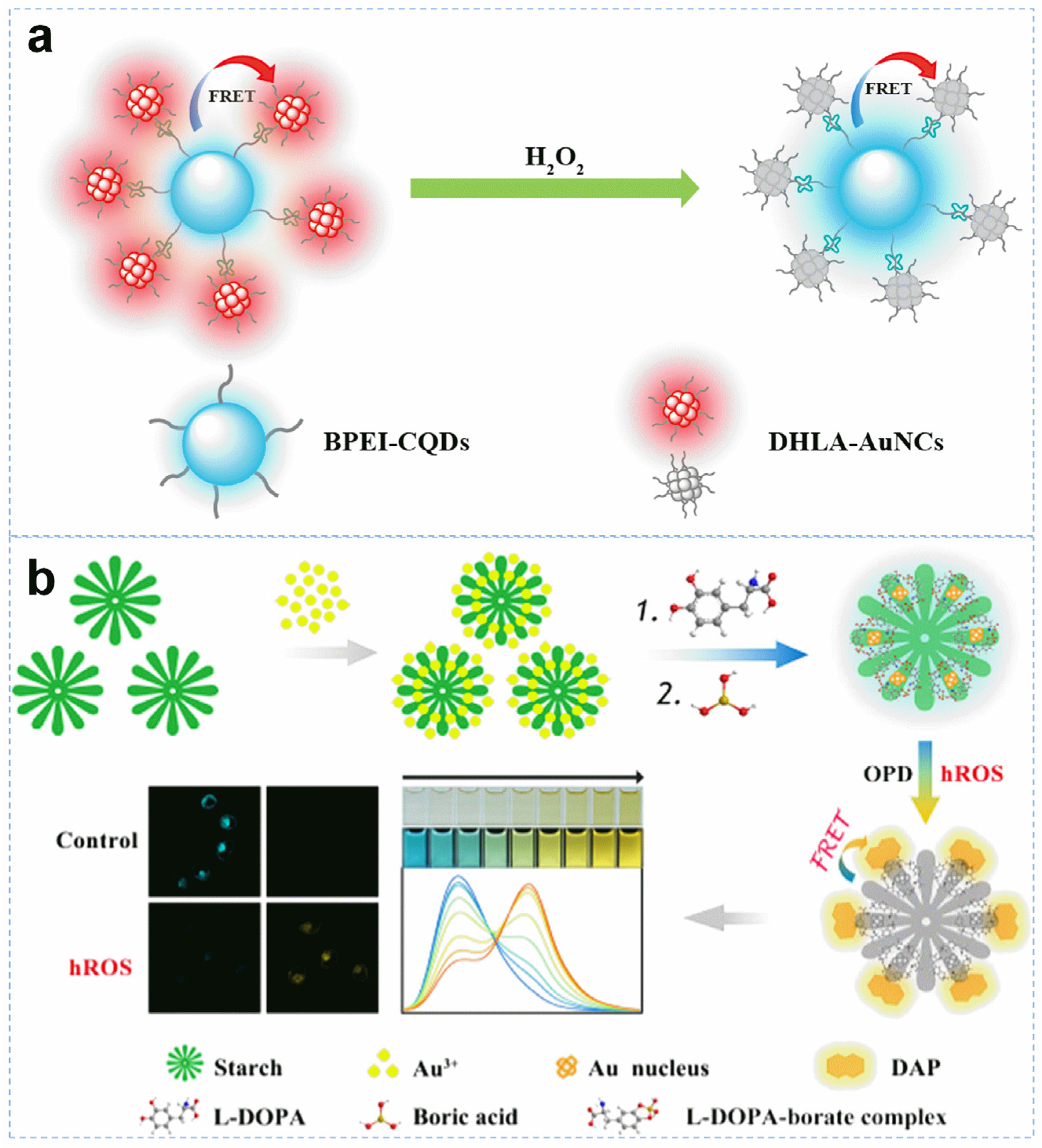 Molecules 29 01574 g003
