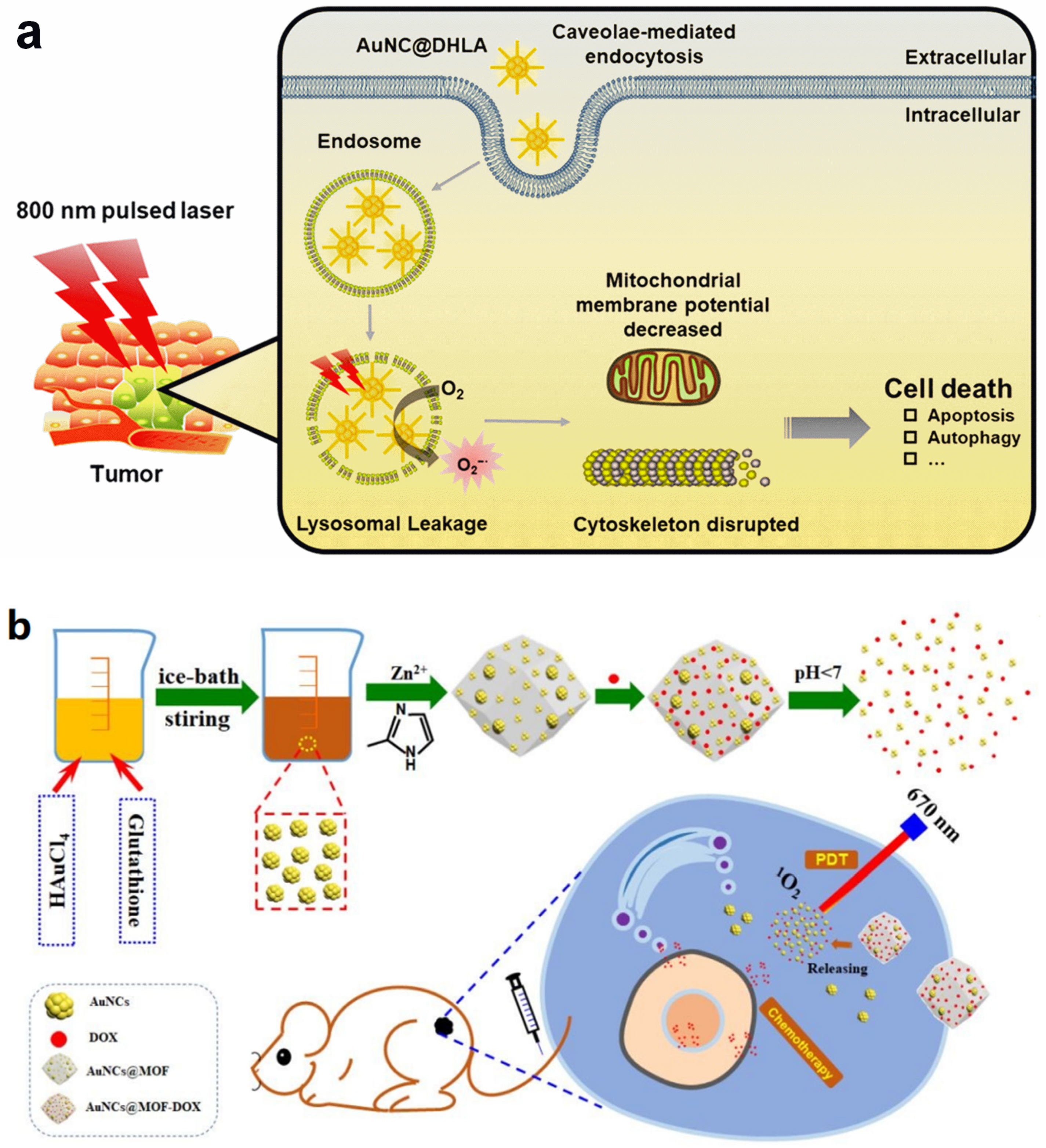 Molecules 29 01574 g006