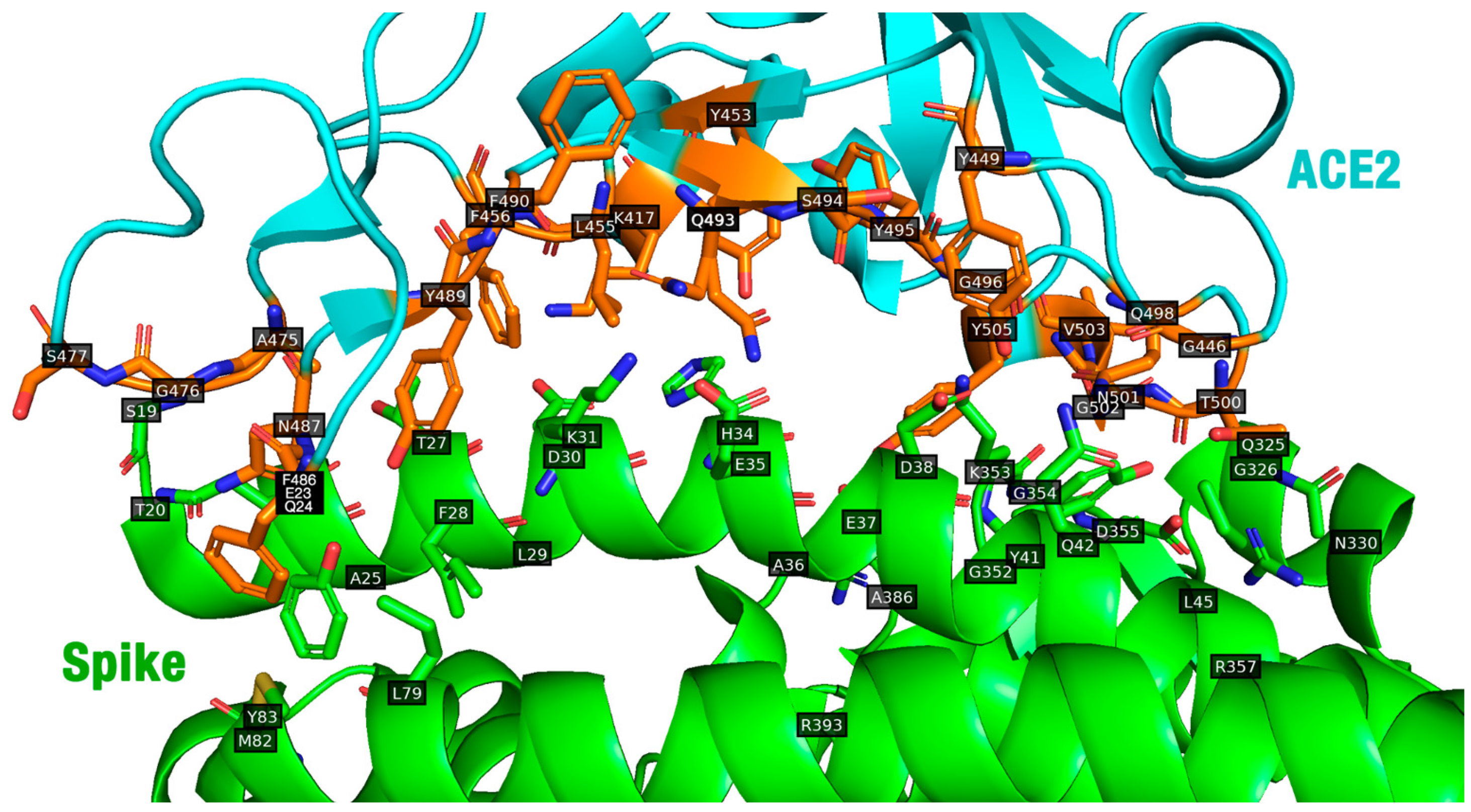 Molecules 29 01577 g001