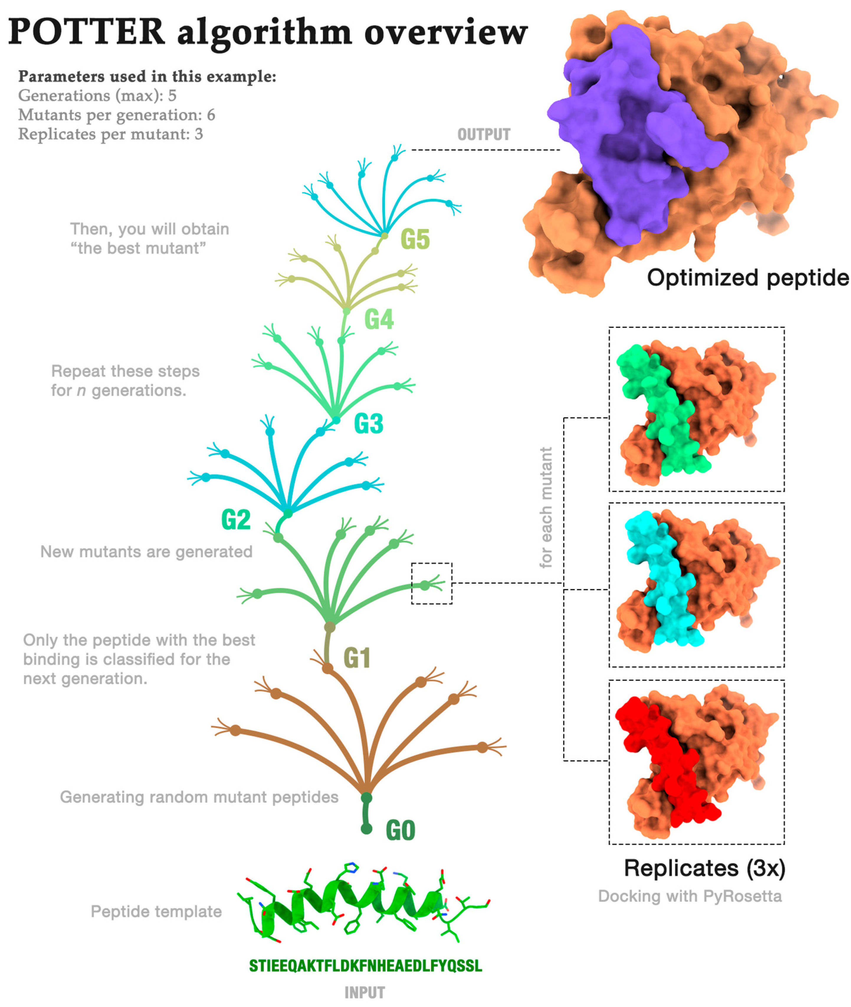 Molecules 29 01577 g002
